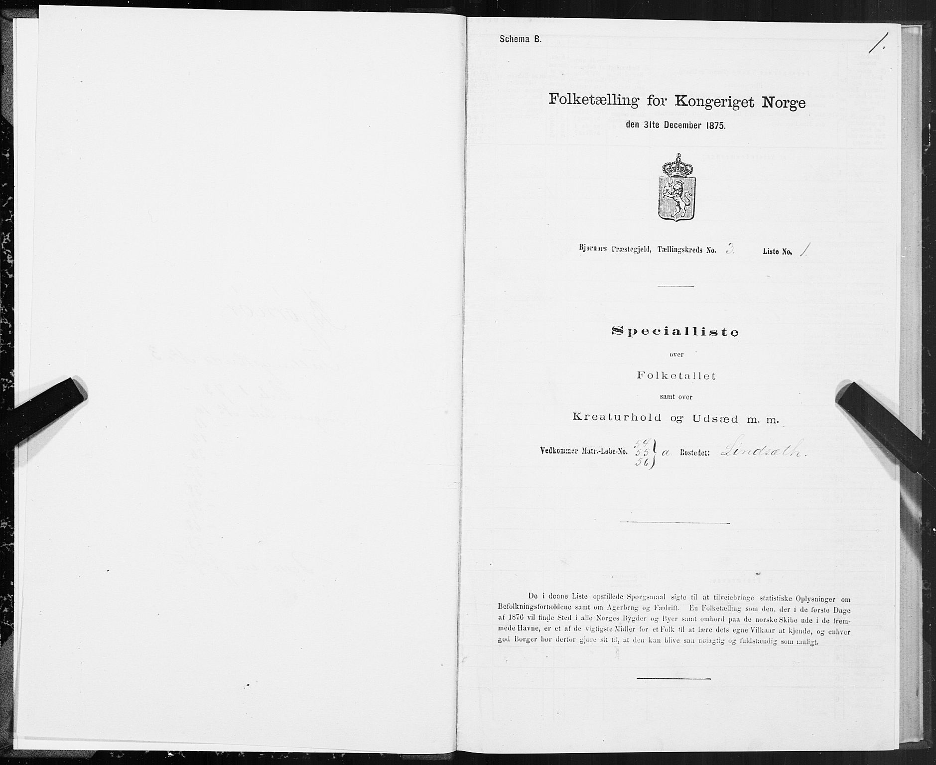 SAT, 1875 census for 1632P Bjørnør, 1875, p. 2001