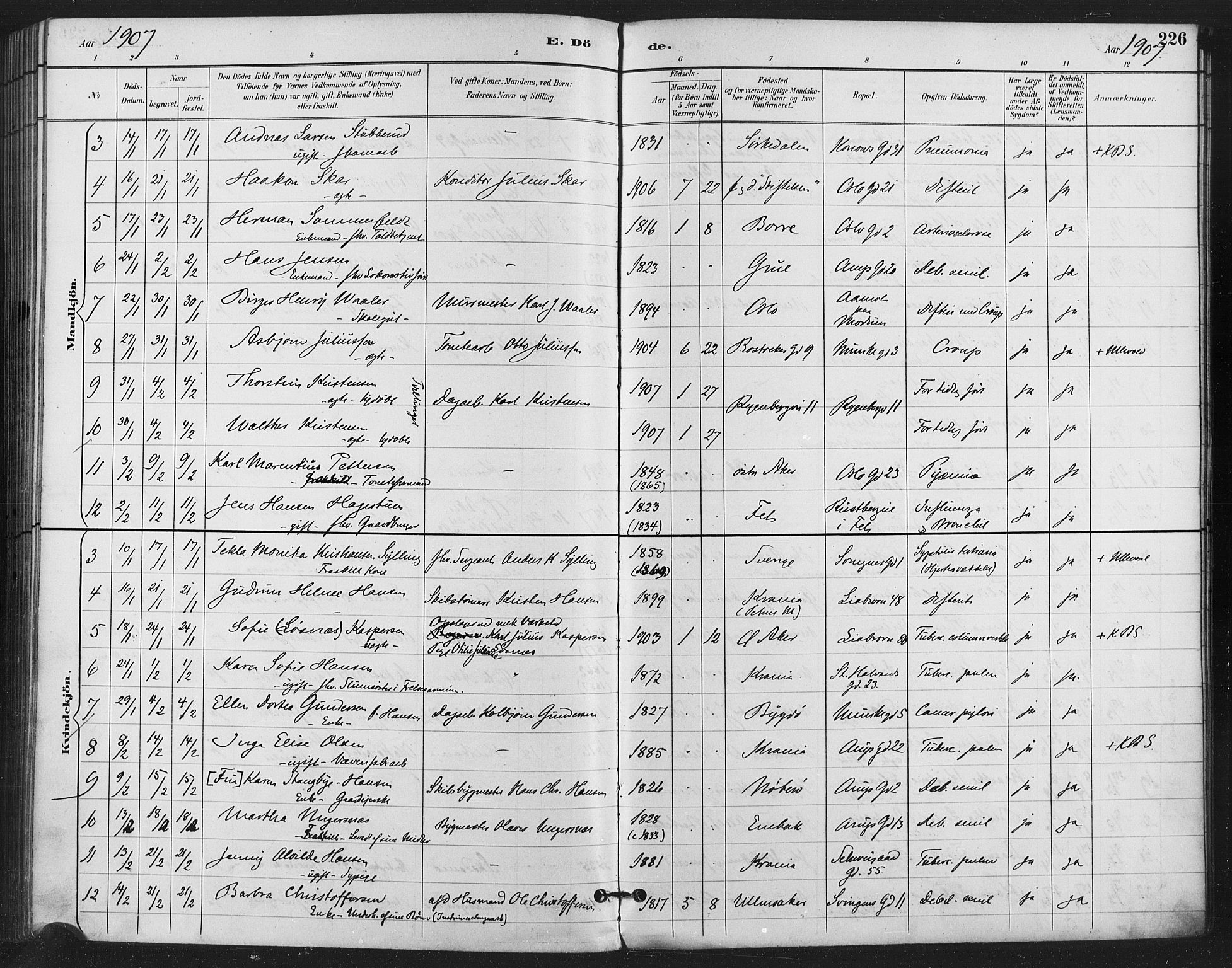 Gamlebyen prestekontor Kirkebøker, AV/SAO-A-10884/F/Fa/L0009: Parish register (official) no. 9, 1888-1909, p. 226