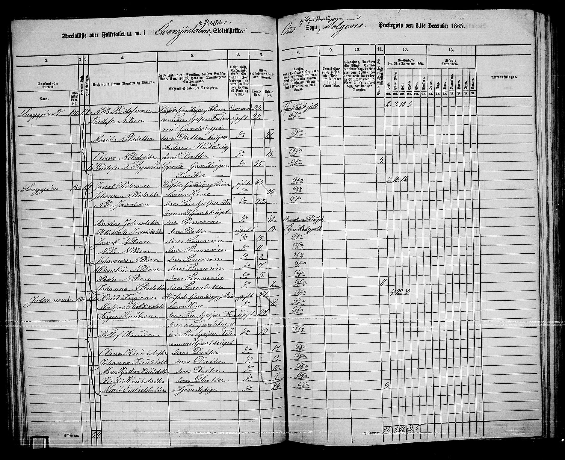 RA, 1865 census for Tolga, 1865, p. 85