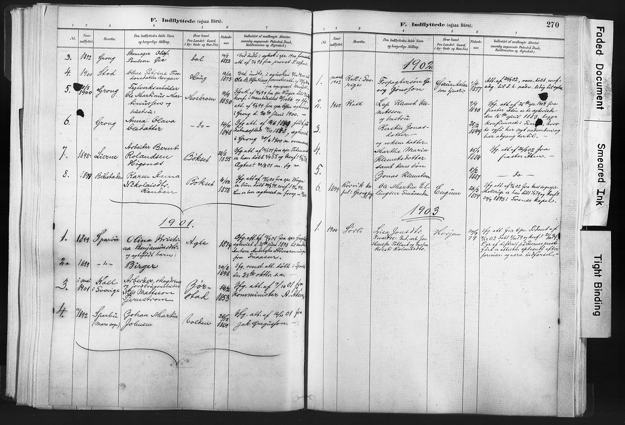 Ministerialprotokoller, klokkerbøker og fødselsregistre - Nord-Trøndelag, SAT/A-1458/749/L0474: Parish register (official) no. 749A08, 1887-1903, p. 270