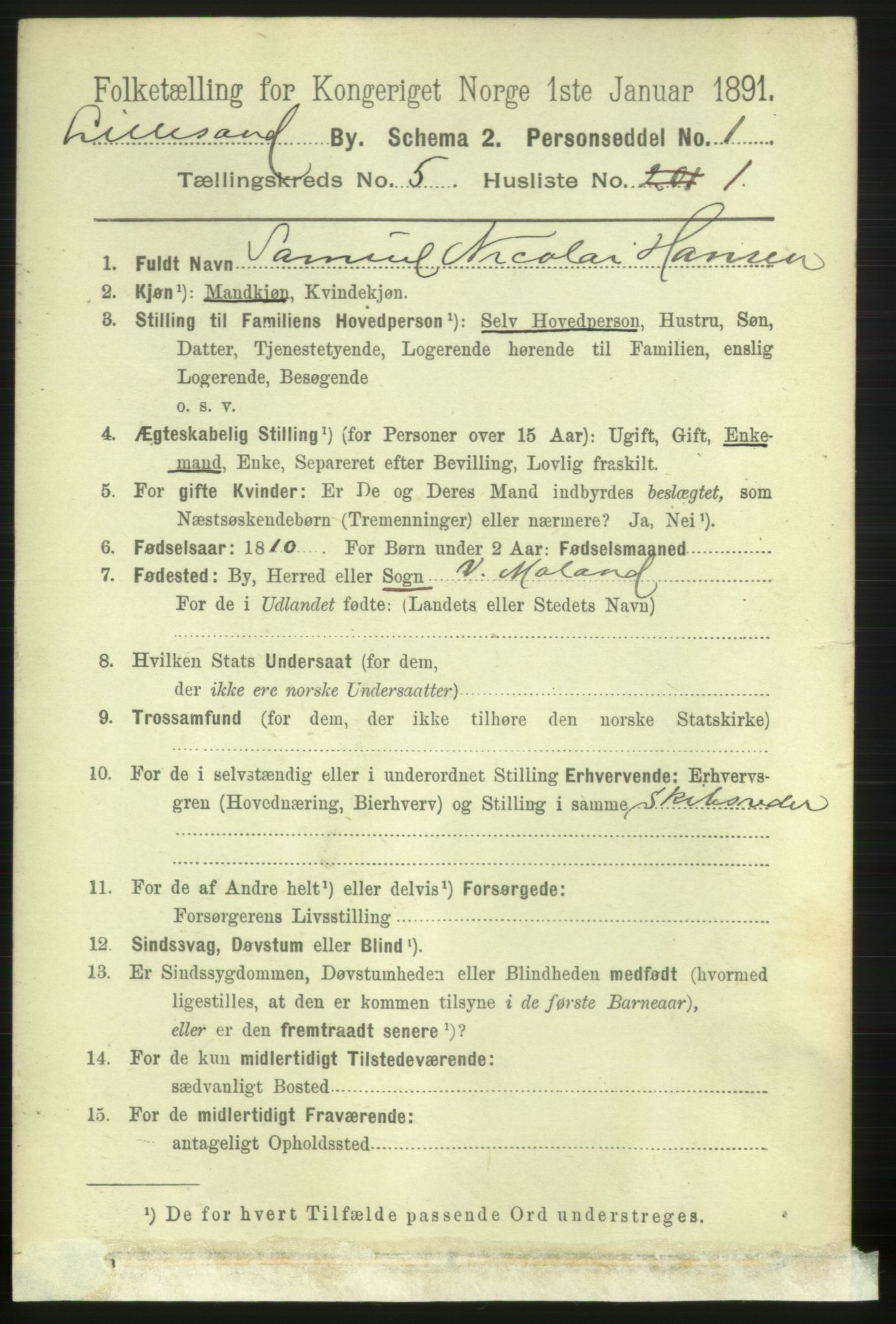 RA, 1891 census for 0905 Lillesand, 1891, p. 1381