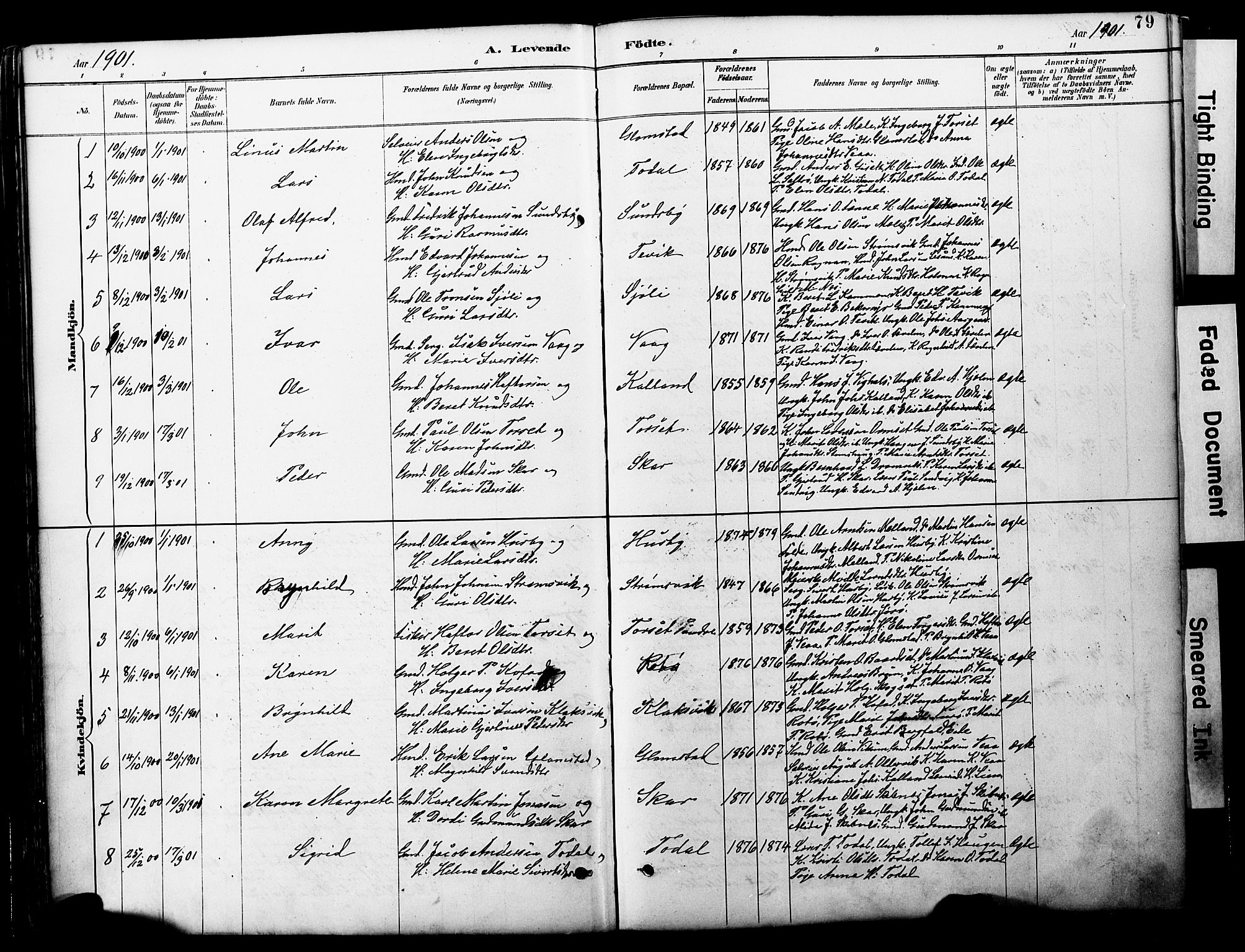 Ministerialprotokoller, klokkerbøker og fødselsregistre - Møre og Romsdal, AV/SAT-A-1454/578/L0907: Parish register (official) no. 578A06, 1887-1904, p. 79