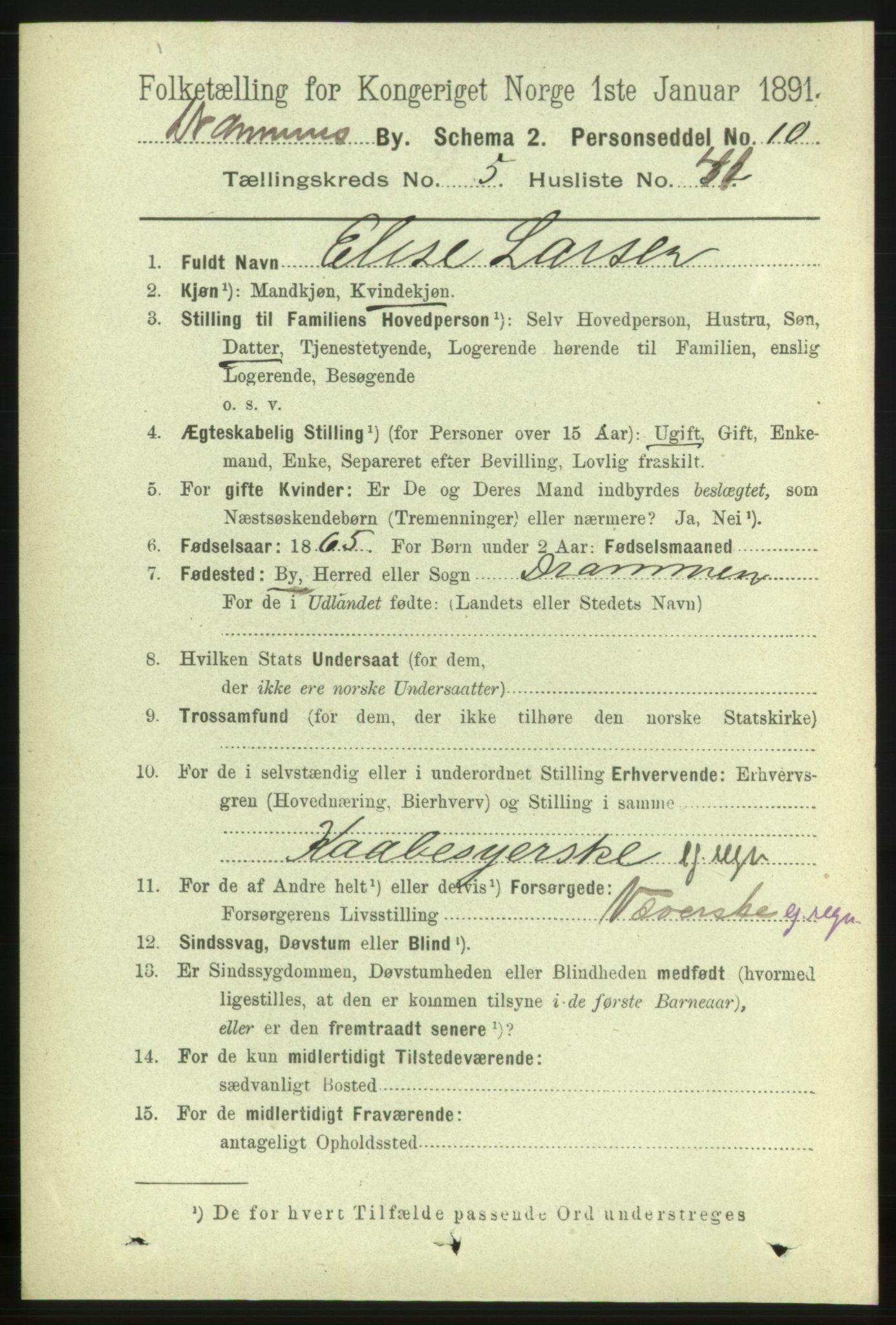 RA, 1891 census for 0602 Drammen, 1891, p. 6088