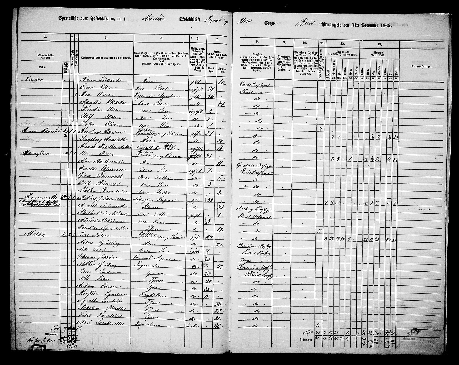 RA, 1865 census for Biri, 1865, p. 214