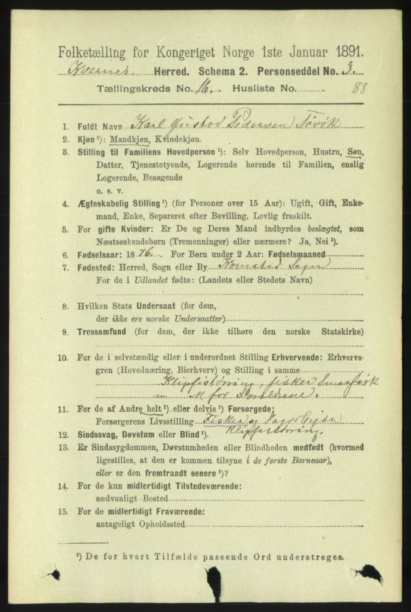 RA, 1891 census for 1553 Kvernes, 1891, p. 7065