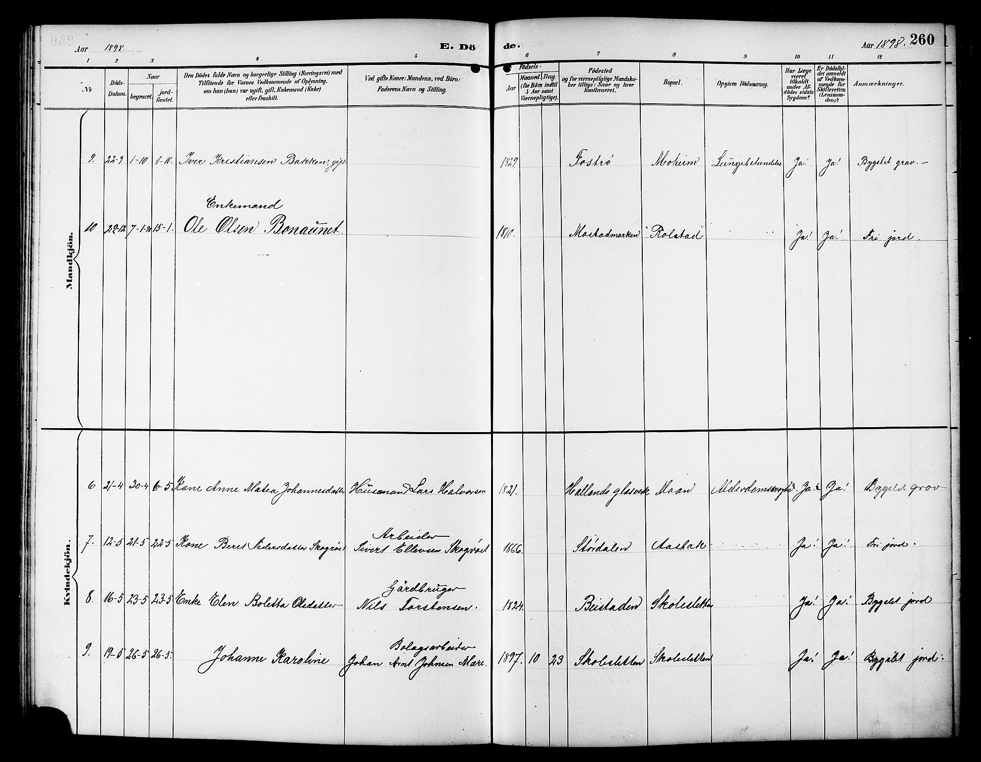 Ministerialprotokoller, klokkerbøker og fødselsregistre - Sør-Trøndelag, SAT/A-1456/617/L0431: Parish register (copy) no. 617C01, 1889-1910, p. 260