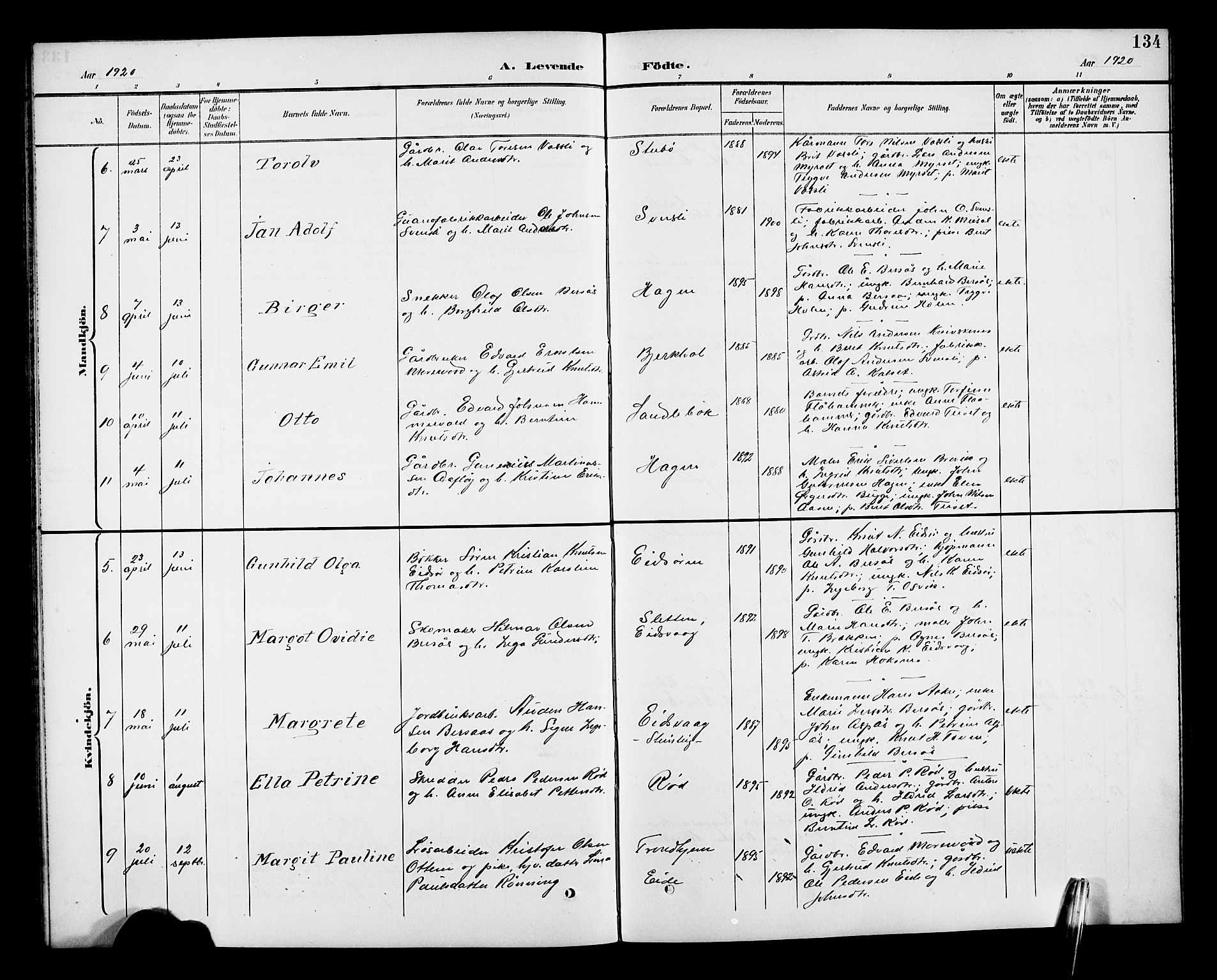 Ministerialprotokoller, klokkerbøker og fødselsregistre - Møre og Romsdal, SAT/A-1454/551/L0632: Parish register (copy) no. 551C04, 1894-1920, p. 134