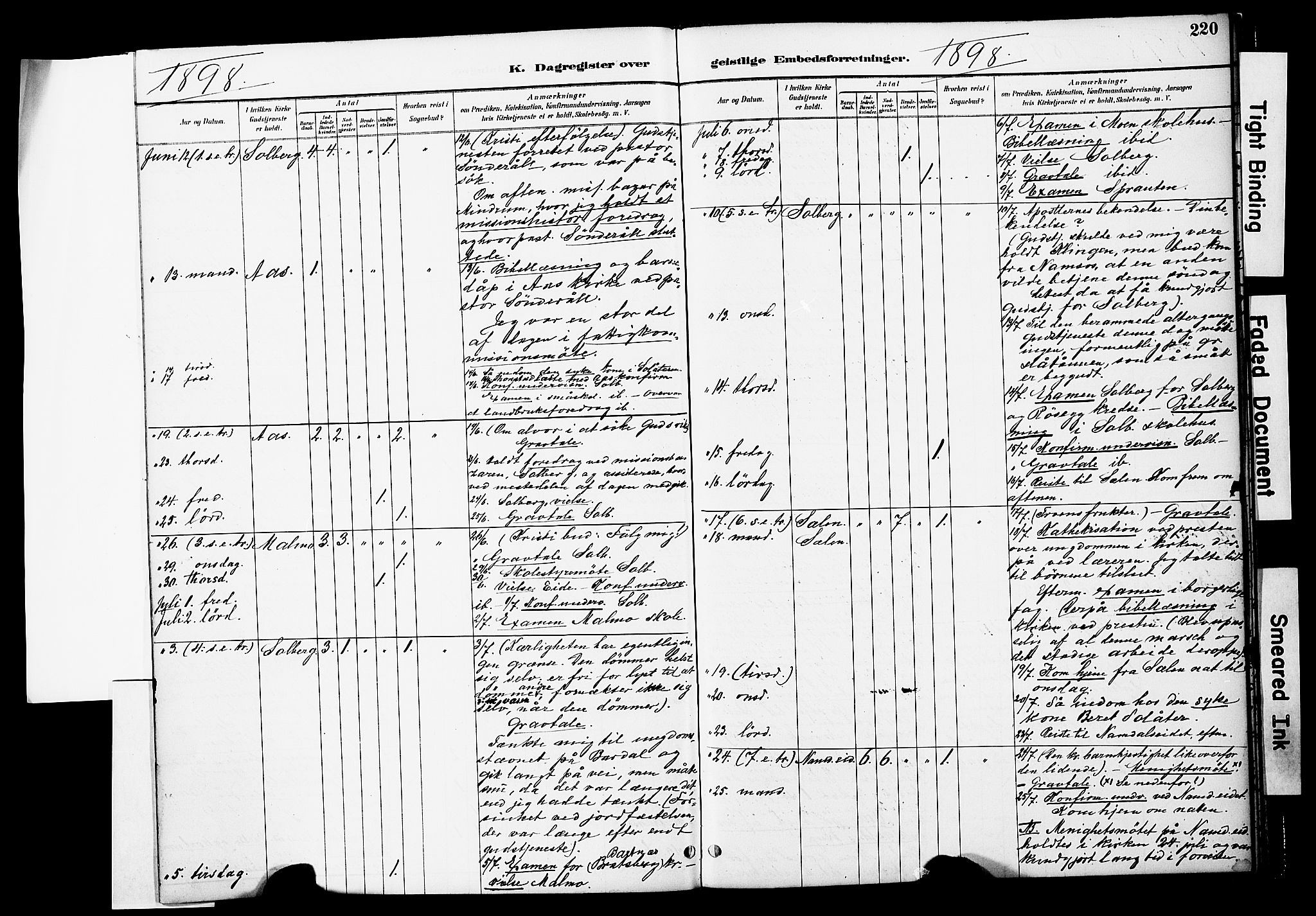 Ministerialprotokoller, klokkerbøker og fødselsregistre - Nord-Trøndelag, AV/SAT-A-1458/741/L0396: Parish register (official) no. 741A10, 1889-1901, p. 220