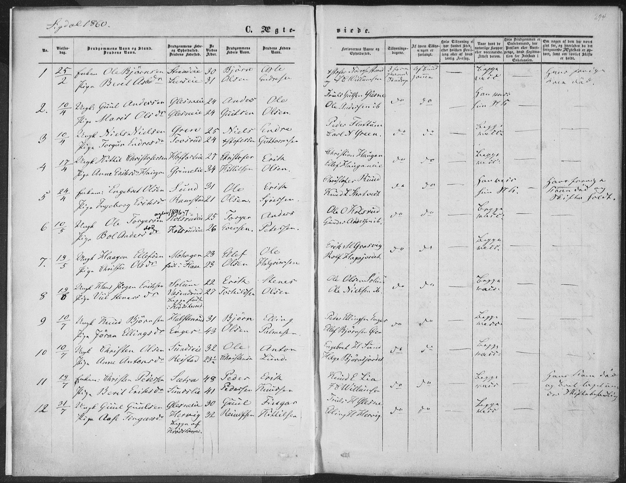 Sigdal kirkebøker, AV/SAKO-A-245/F/Fa/L0009b: Parish register (official) no. I 9B, 1860-1871, p. 294