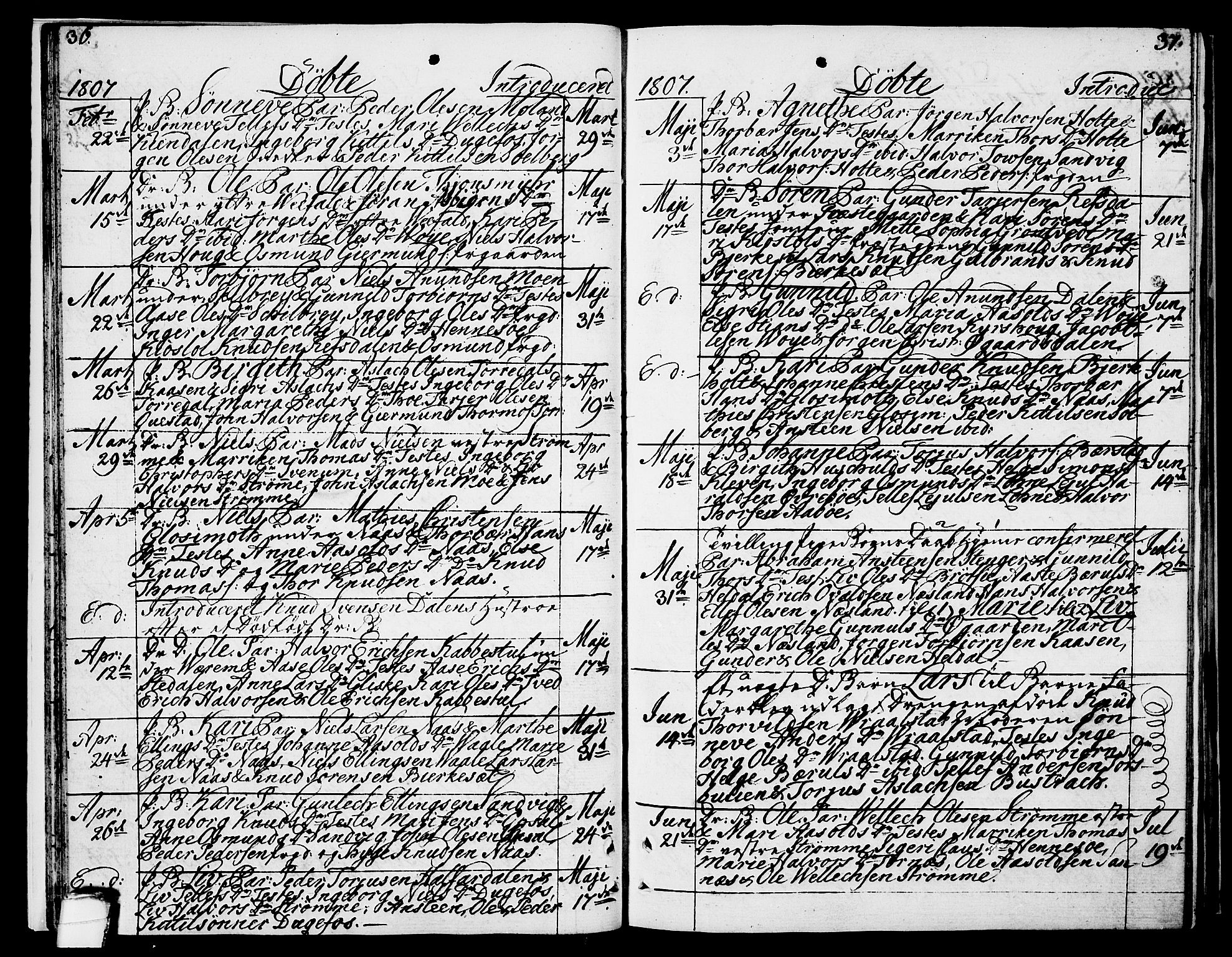 Drangedal kirkebøker, SAKO/A-258/F/Fa/L0004: Parish register (official) no. 4, 1802-1814, p. 36-37