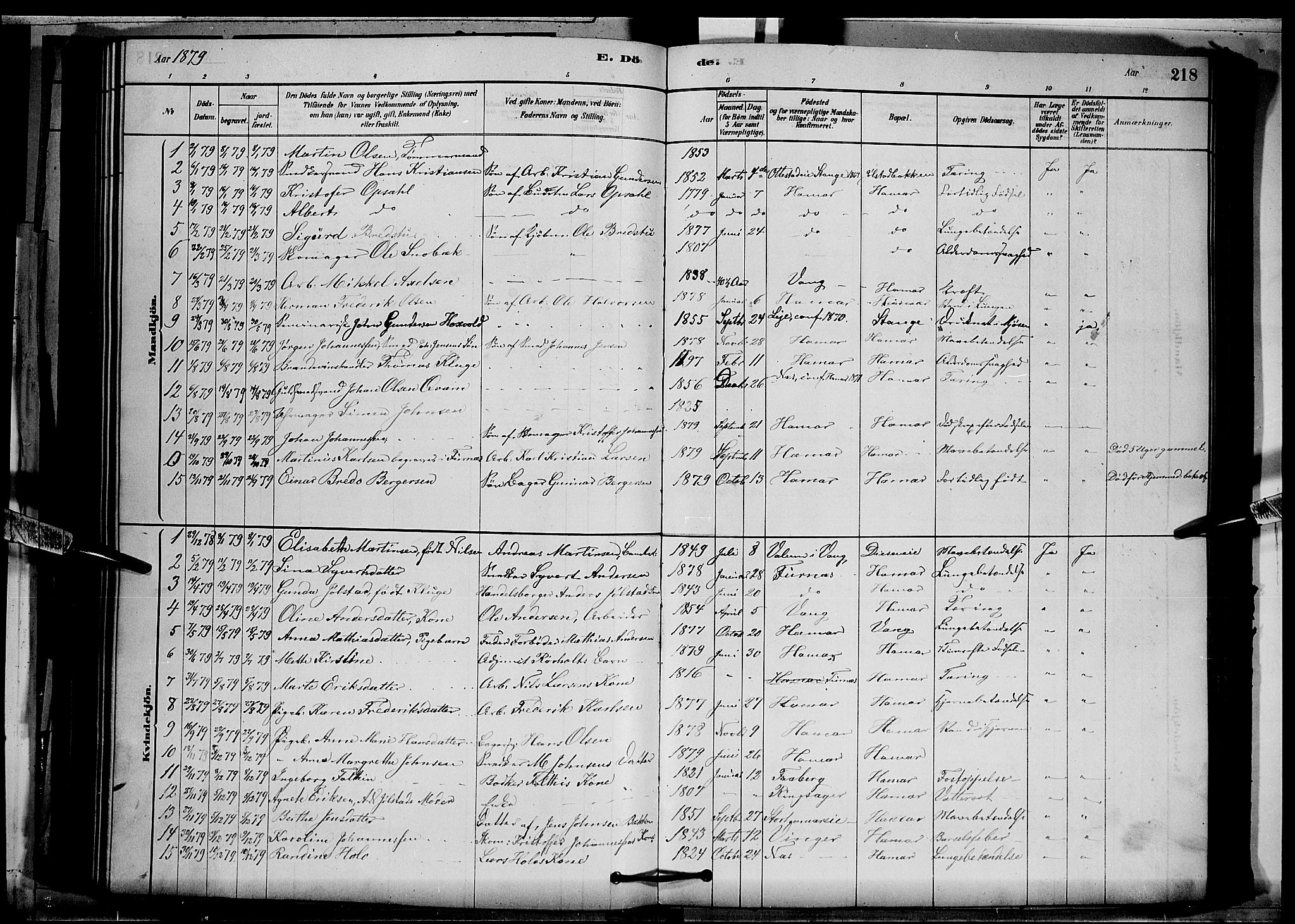 Vang prestekontor, Hedmark, SAH/PREST-008/H/Ha/Hab/L0012: Parish register (copy) no. 12, 1878-1889, p. 218