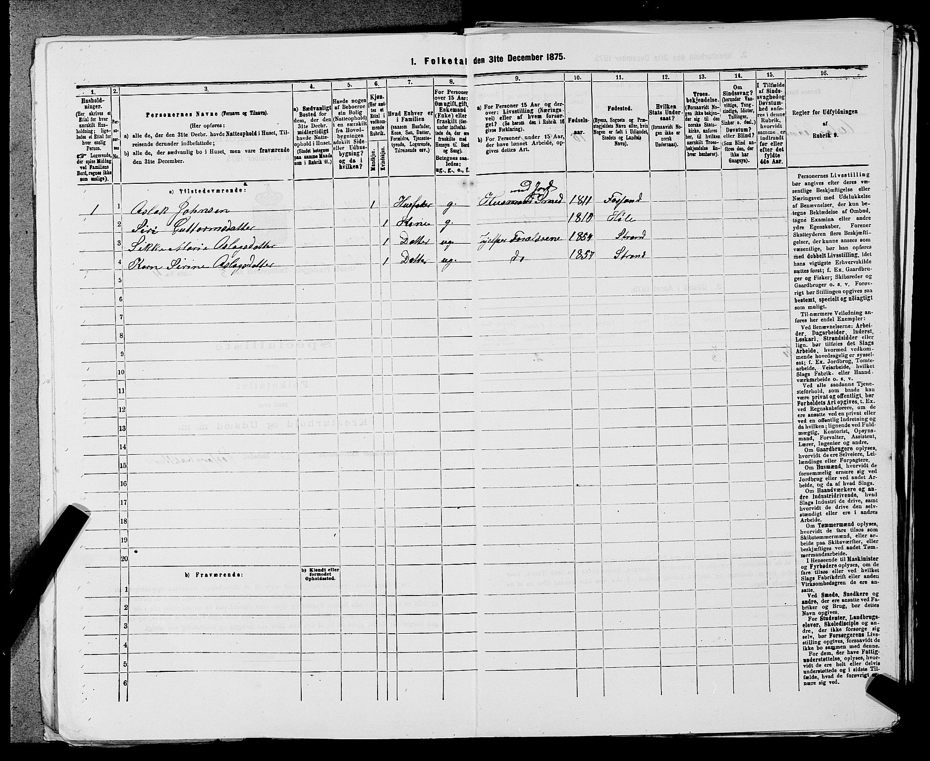 SAST, 1875 census for 1130P Strand, 1875, p. 729