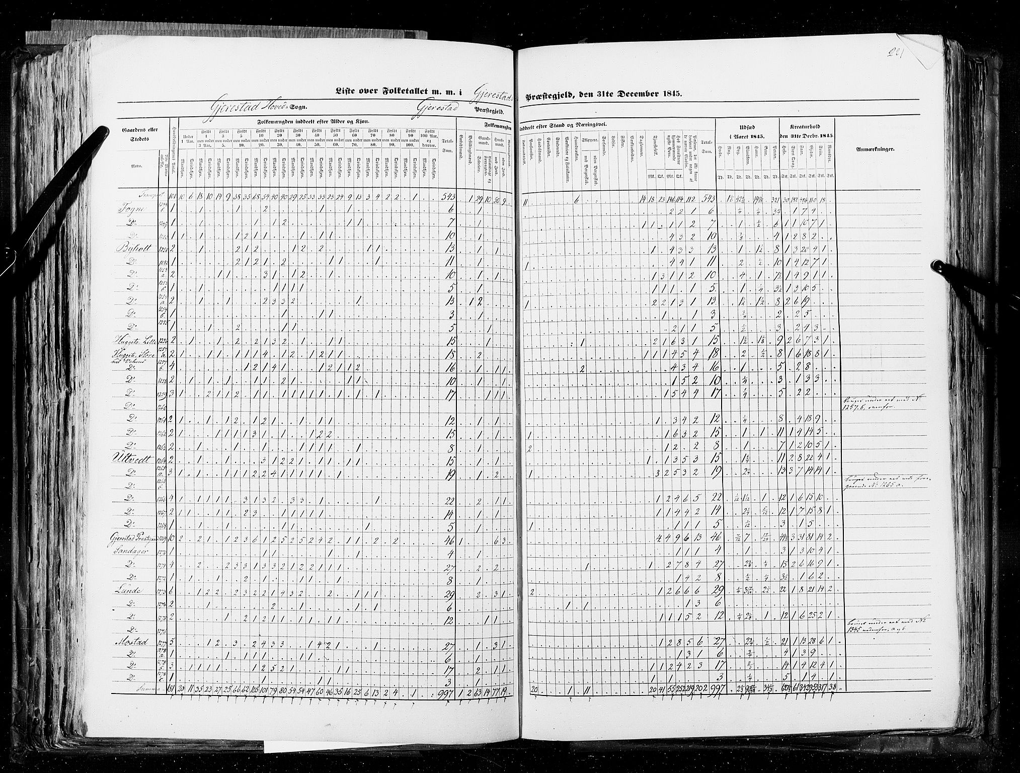 RA, Census 1845, vol. 5: Bratsberg amt og Nedenes og Råbyggelaget amt, 1845, p. 221