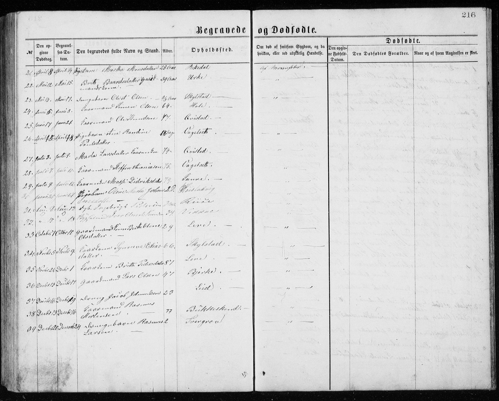 Ministerialprotokoller, klokkerbøker og fødselsregistre - Møre og Romsdal, AV/SAT-A-1454/515/L0214: Parish register (copy) no. 515C01, 1865-1883, p. 216