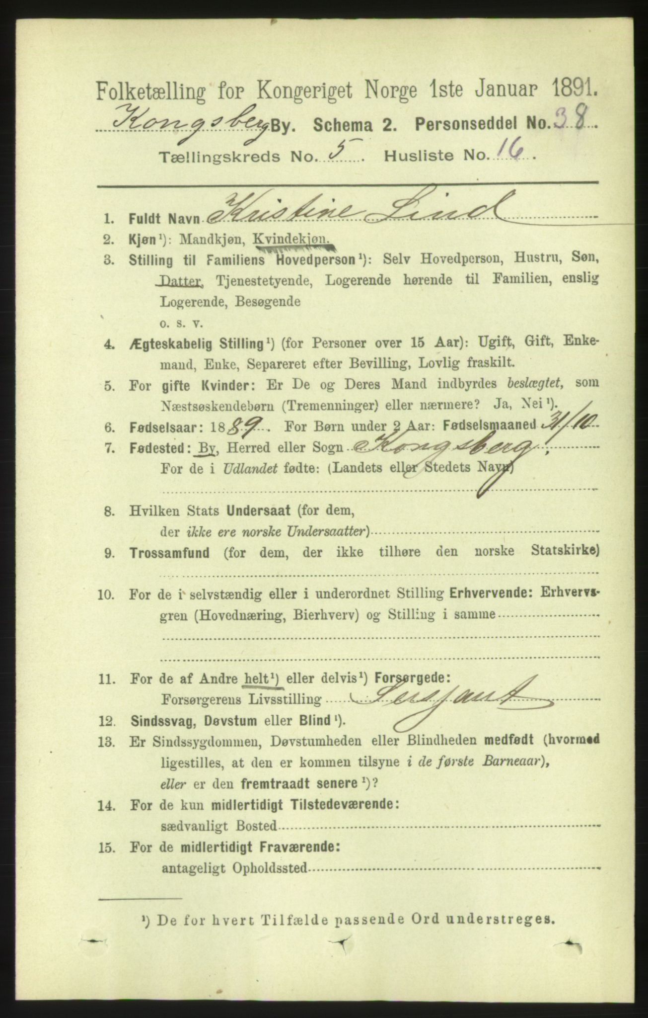 RA, 1891 census for 0604 Kongsberg, 1891, p. 4353