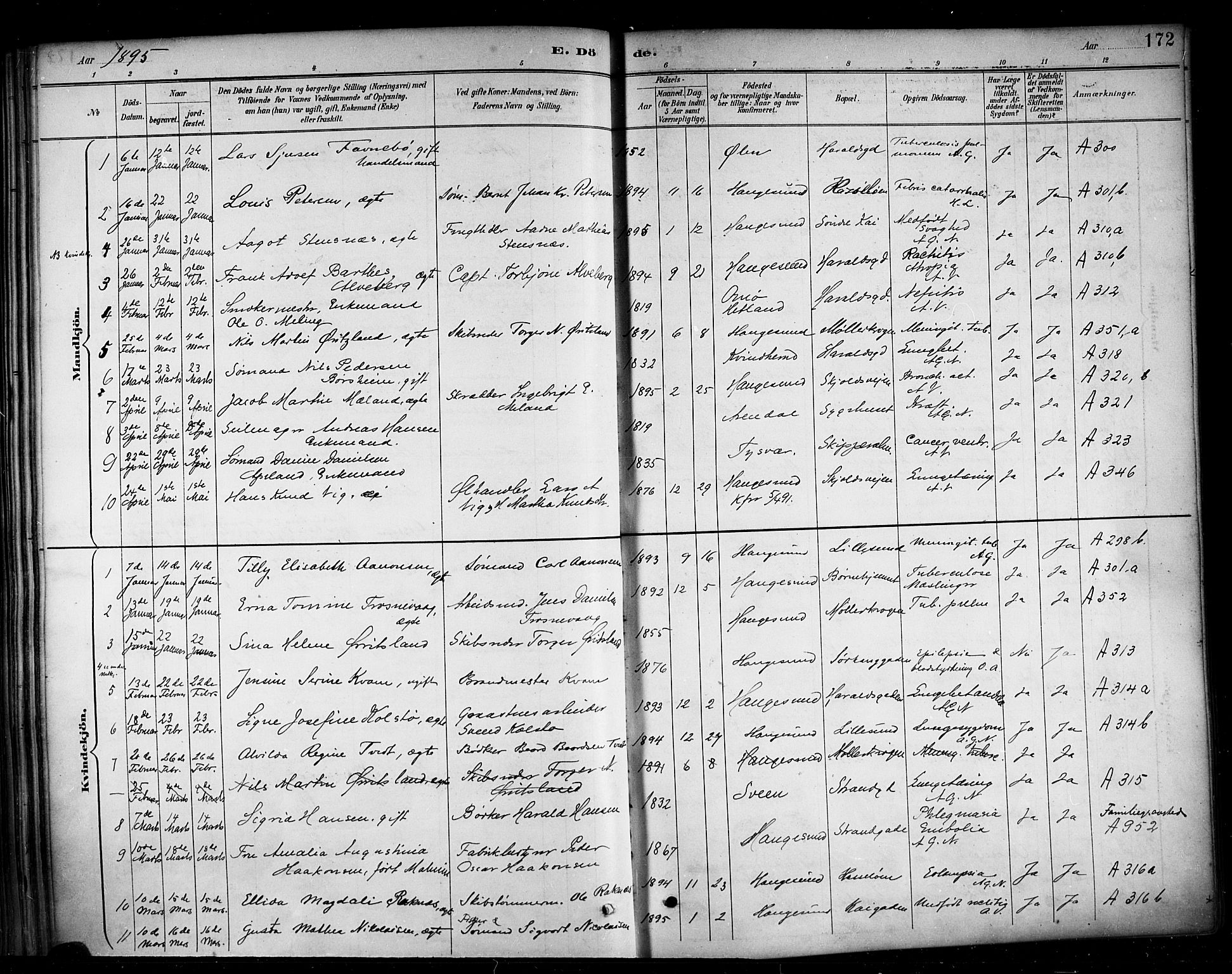 Haugesund sokneprestkontor, SAST/A -101863/H/Ha/Haa/L0005: Parish register (official) no. A 5, 1891-1903, p. 172
