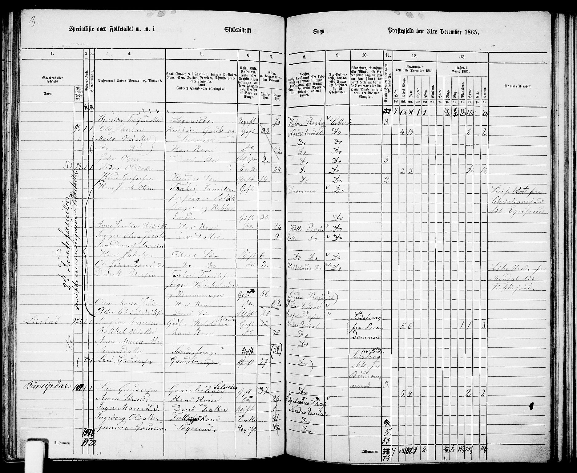 RA, 1865 census for Nord-Audnedal, 1865, p. 63