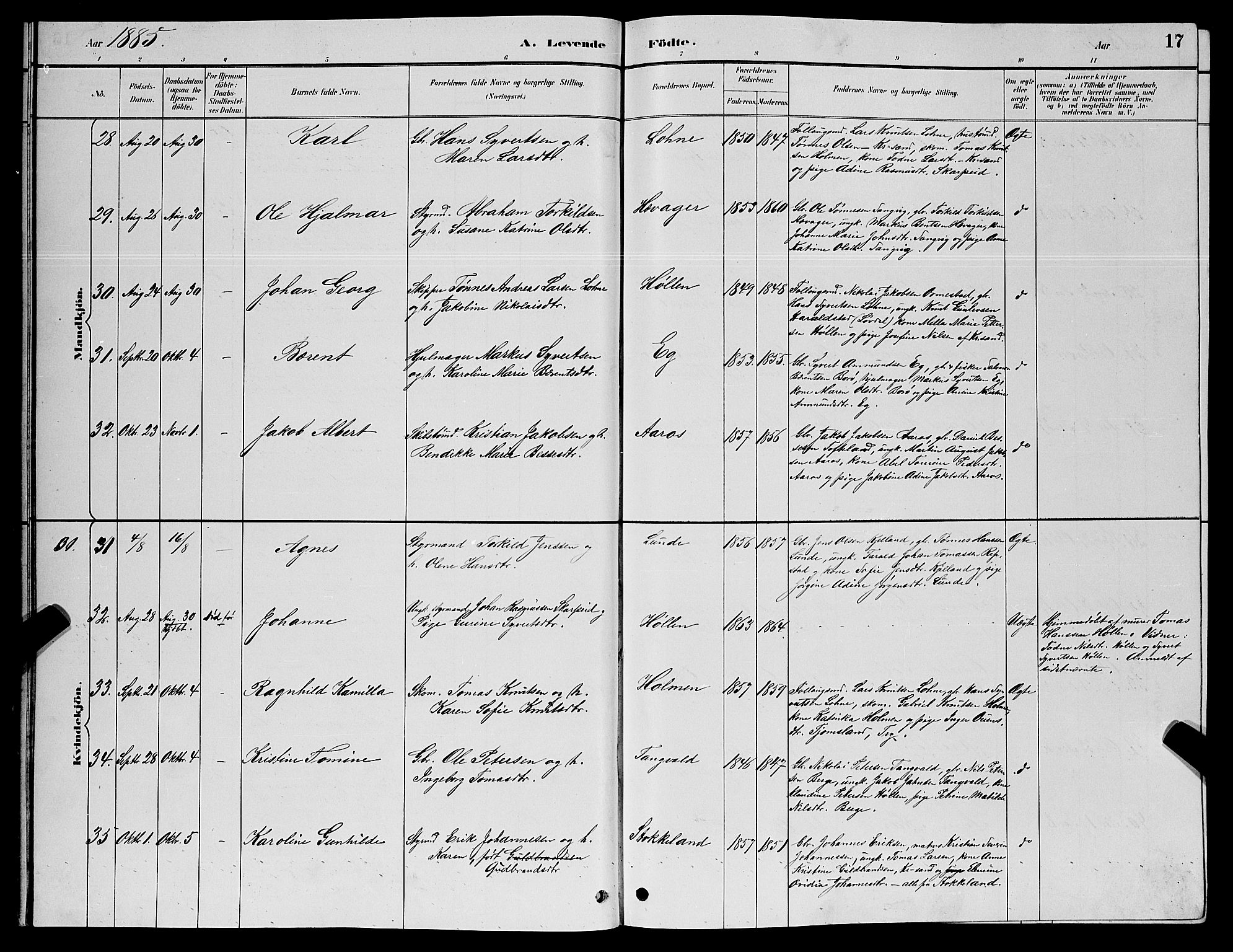 Søgne sokneprestkontor, AV/SAK-1111-0037/F/Fb/Fbb/L0005: Parish register (copy) no. B 5, 1884-1891, p. 17