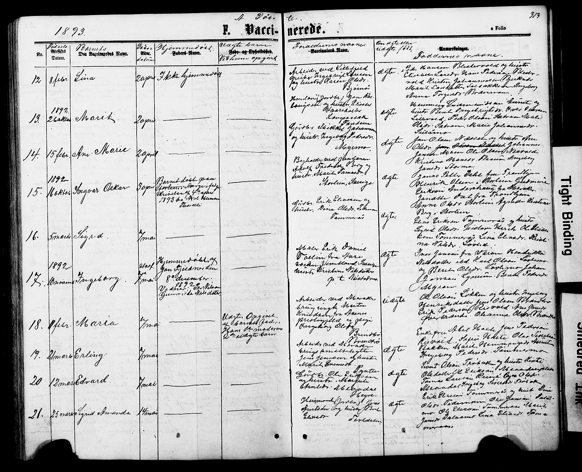 Ministerialprotokoller, klokkerbøker og fødselsregistre - Nord-Trøndelag, SAT/A-1458/706/L0049: Parish register (copy) no. 706C01, 1864-1895, p. 313