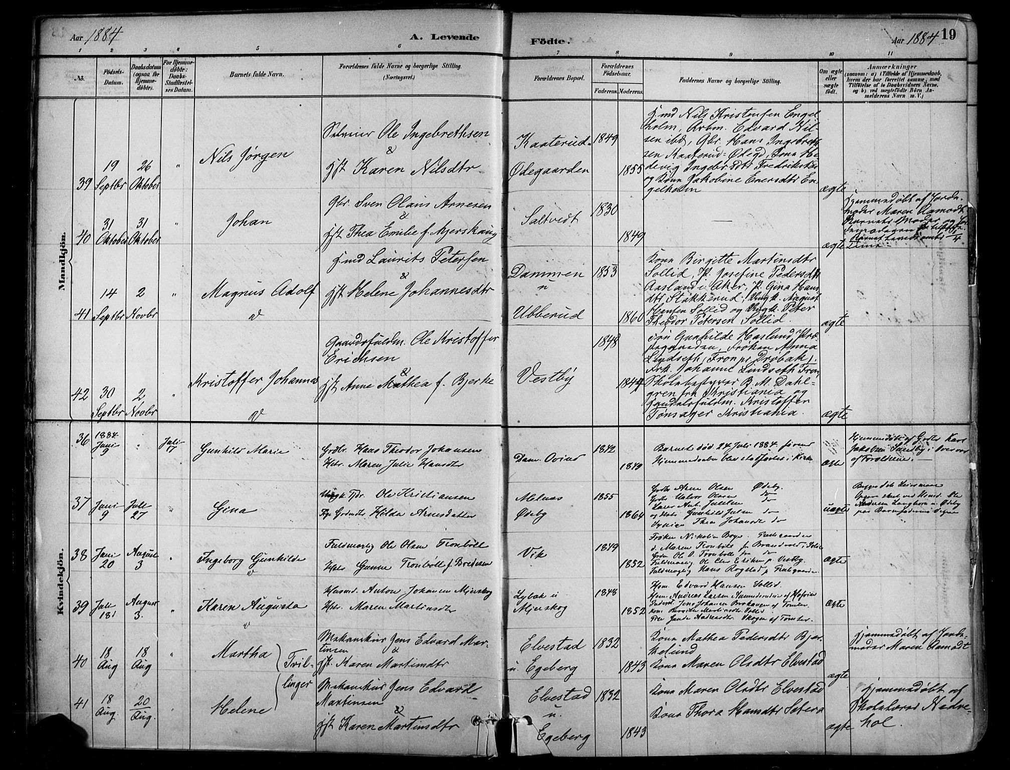 Enebakk prestekontor Kirkebøker, SAO/A-10171c/F/Fa/L0016: Parish register (official) no. I 16, 1883-1898, p. 19