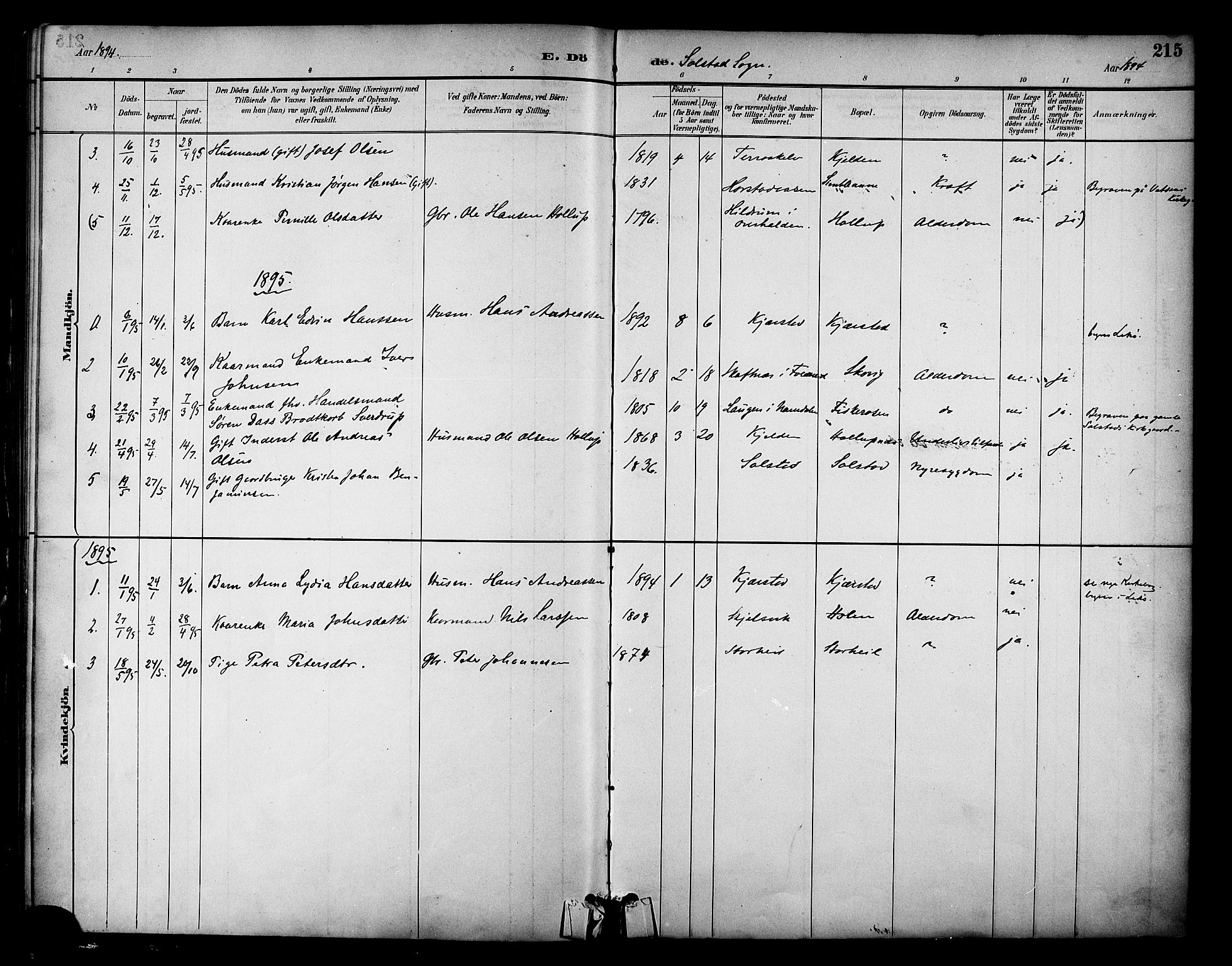 Ministerialprotokoller, klokkerbøker og fødselsregistre - Nordland, AV/SAT-A-1459/810/L0151: Parish register (official) no. 810A10 /2, 1885-1895, p. 215