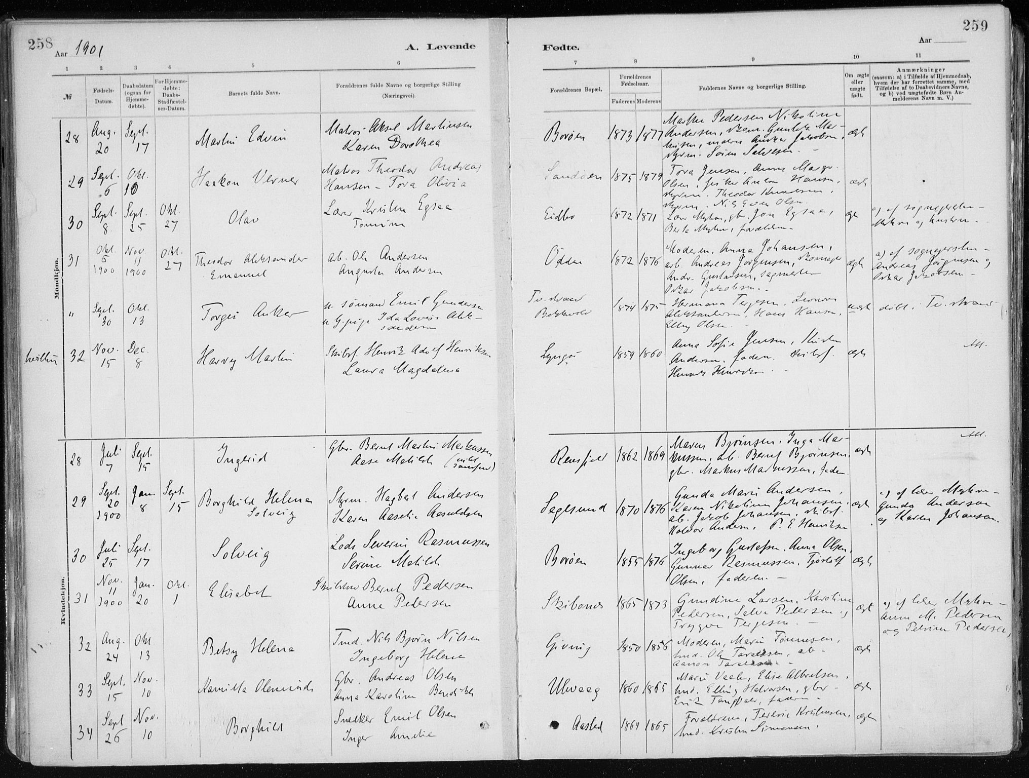 Dypvåg sokneprestkontor, AV/SAK-1111-0007/F/Fa/Faa/L0008: Parish register (official) no. A 8, 1885-1906, p. 258-259