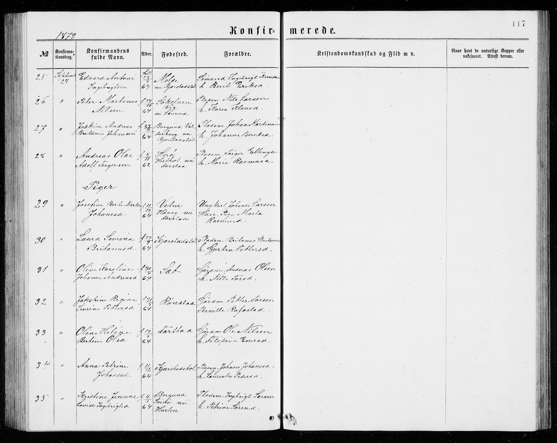 Ministerialprotokoller, klokkerbøker og fødselsregistre - Møre og Romsdal, AV/SAT-A-1454/536/L0509: Parish register (copy) no. 536C04, 1871-1881, p. 117