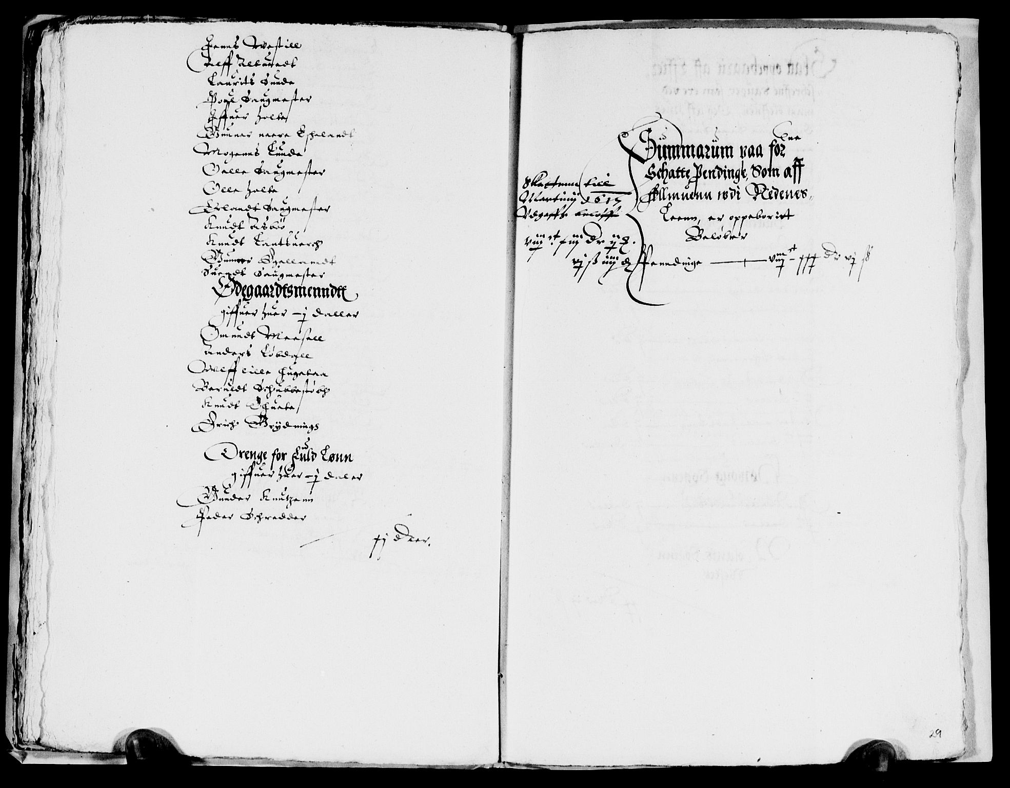 Rentekammeret inntil 1814, Reviderte regnskaper, Lensregnskaper, AV/RA-EA-5023/R/Rb/Rbq/L0011: Nedenes len. Mandals len. Råbyggelag., 1618-1620