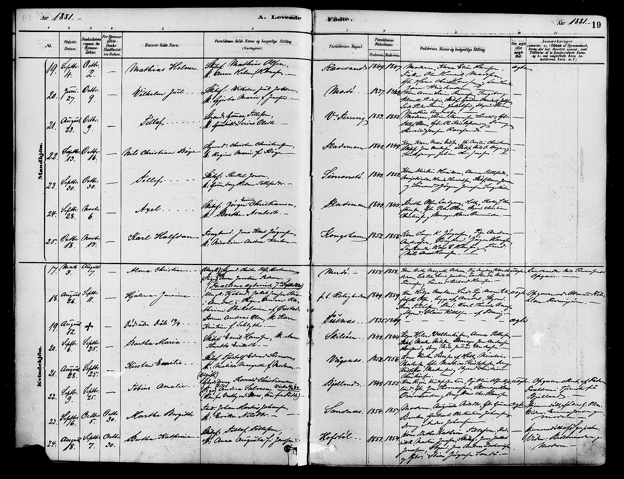 Tromøy sokneprestkontor, AV/SAK-1111-0041/F/Fa/L0009: Parish register (official) no. A 9, 1878-1896, p. 19