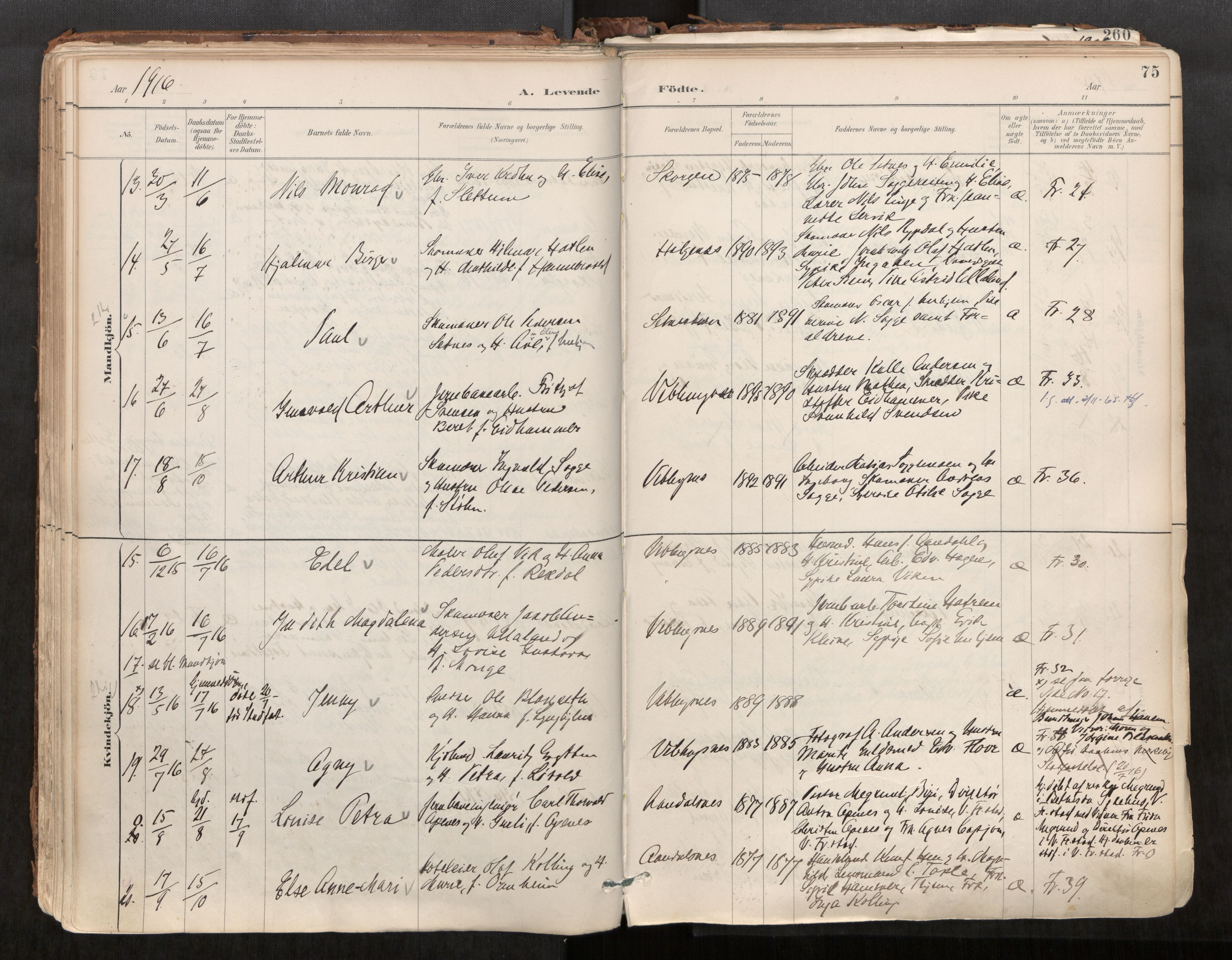 Ministerialprotokoller, klokkerbøker og fødselsregistre - Møre og Romsdal, AV/SAT-A-1454/544/L0585: Parish register (official) no. 544A06, 1887-1924, p. 75