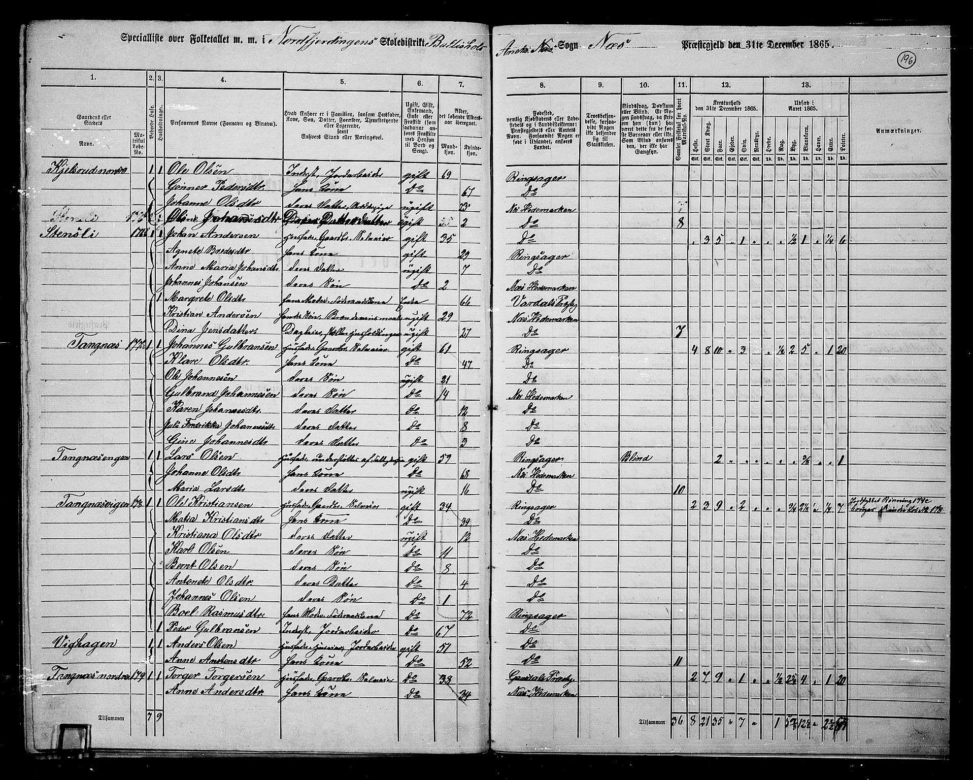 RA, 1865 census for Nes, 1865, p. 170