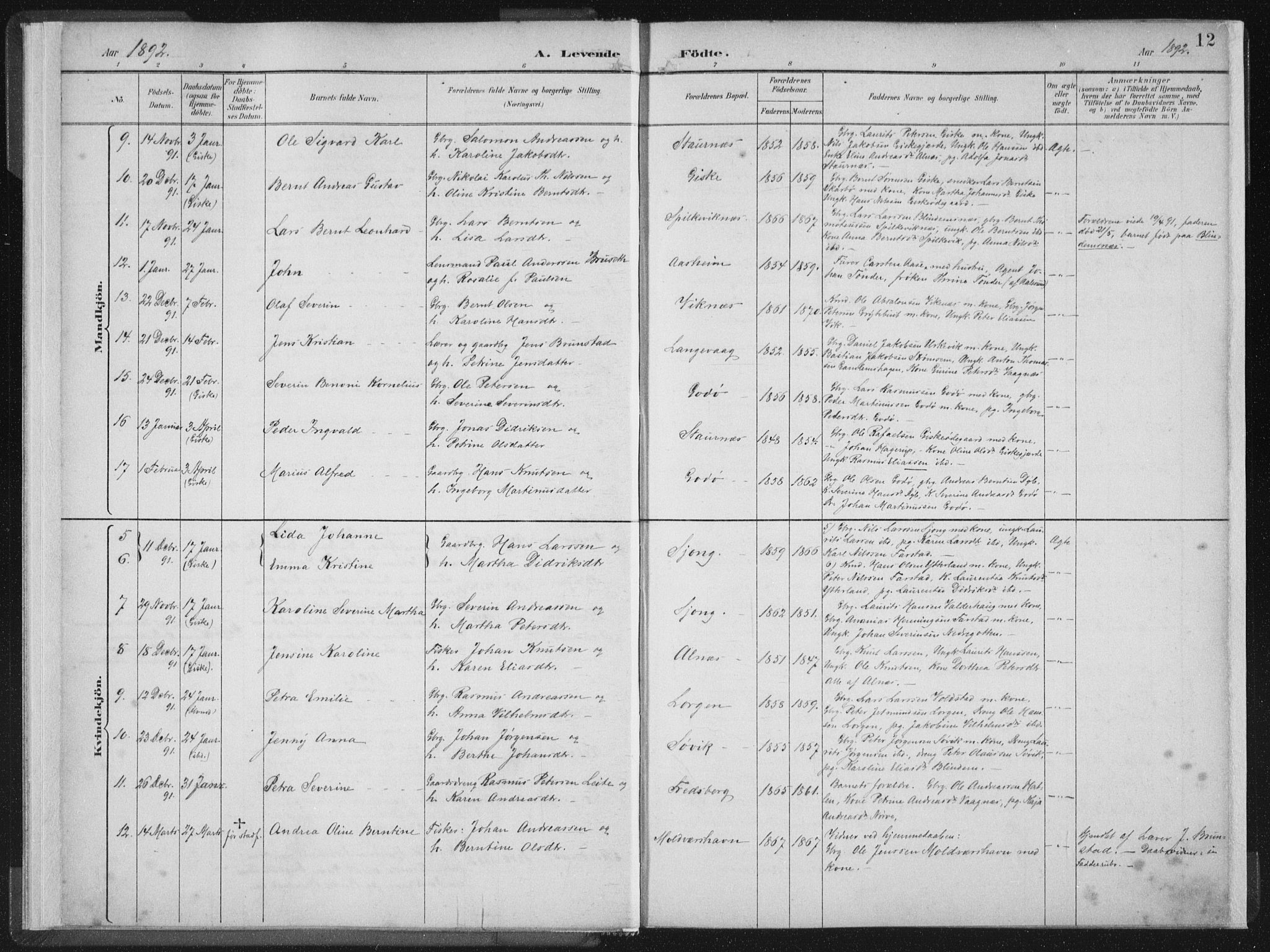 Ministerialprotokoller, klokkerbøker og fødselsregistre - Møre og Romsdal, AV/SAT-A-1454/528/L0405: Parish register (official) no. 528A14, 1891-1906, p. 12