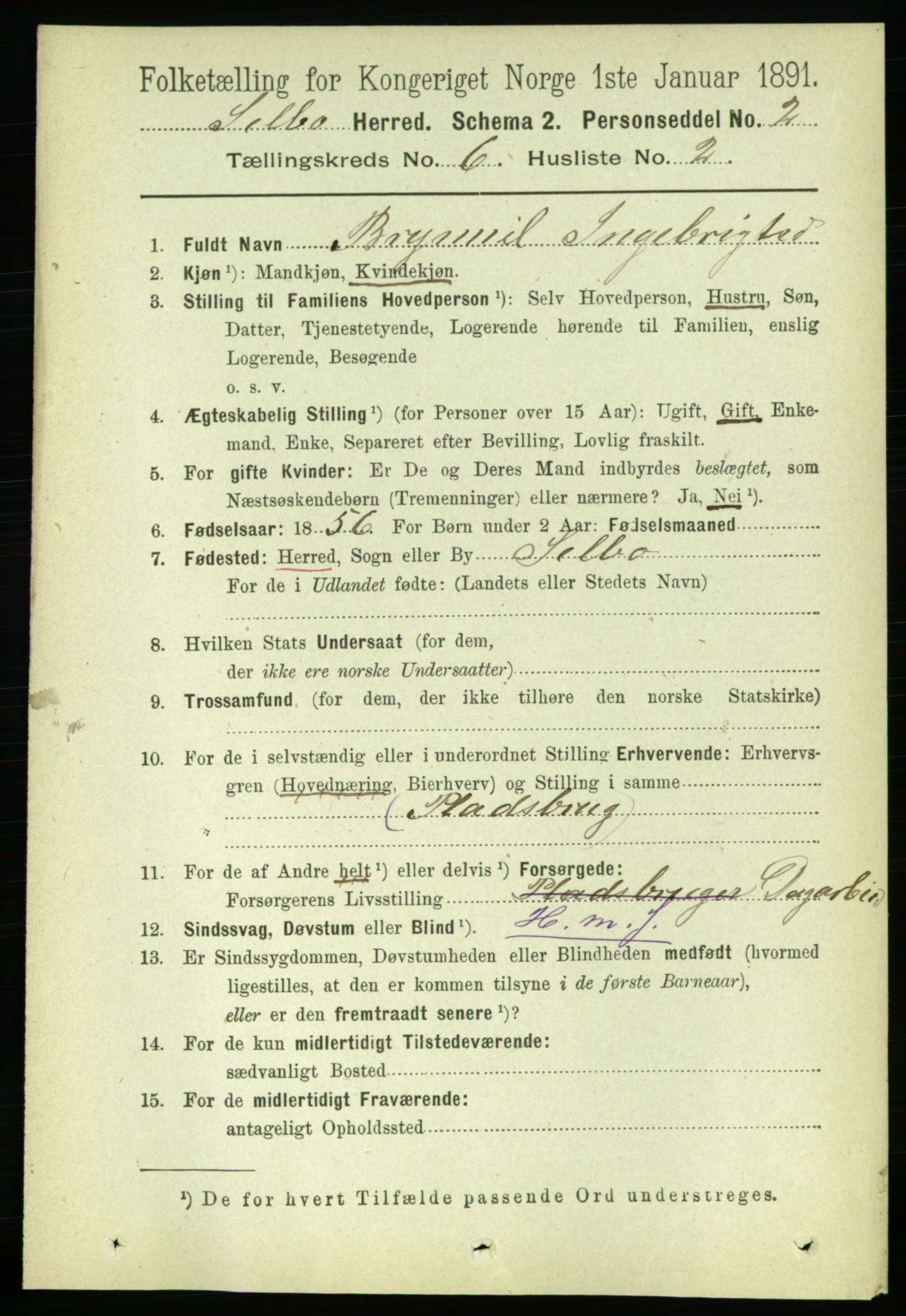 RA, 1891 census for 1664 Selbu, 1891, p. 2134