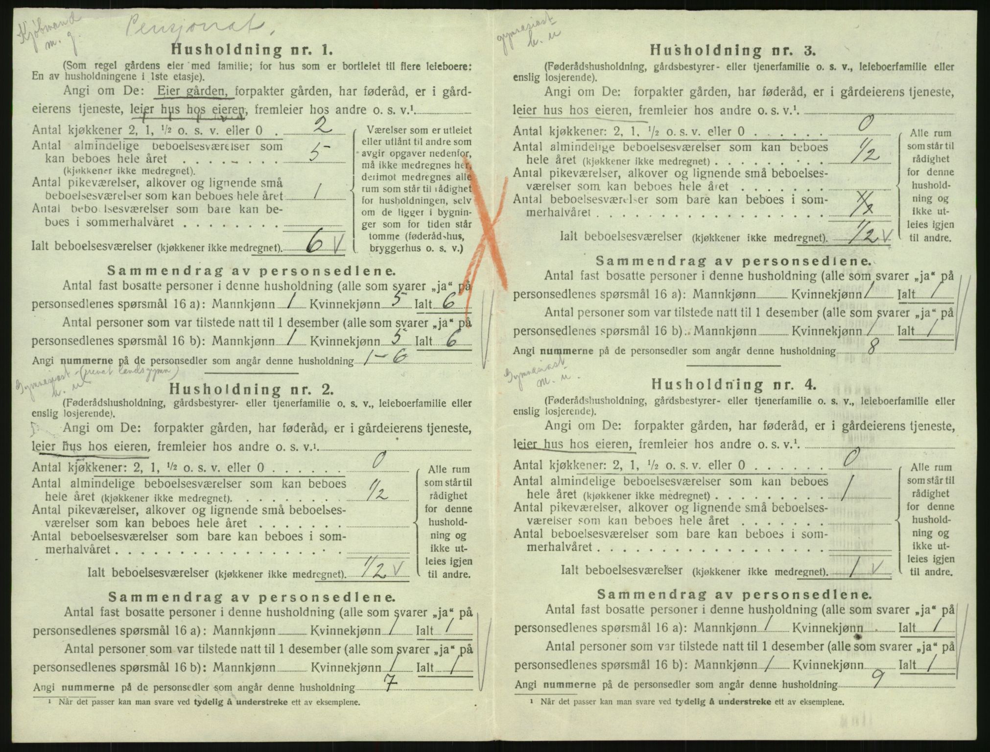 SAK, 1920 census for Hornnes, 1920, p. 296