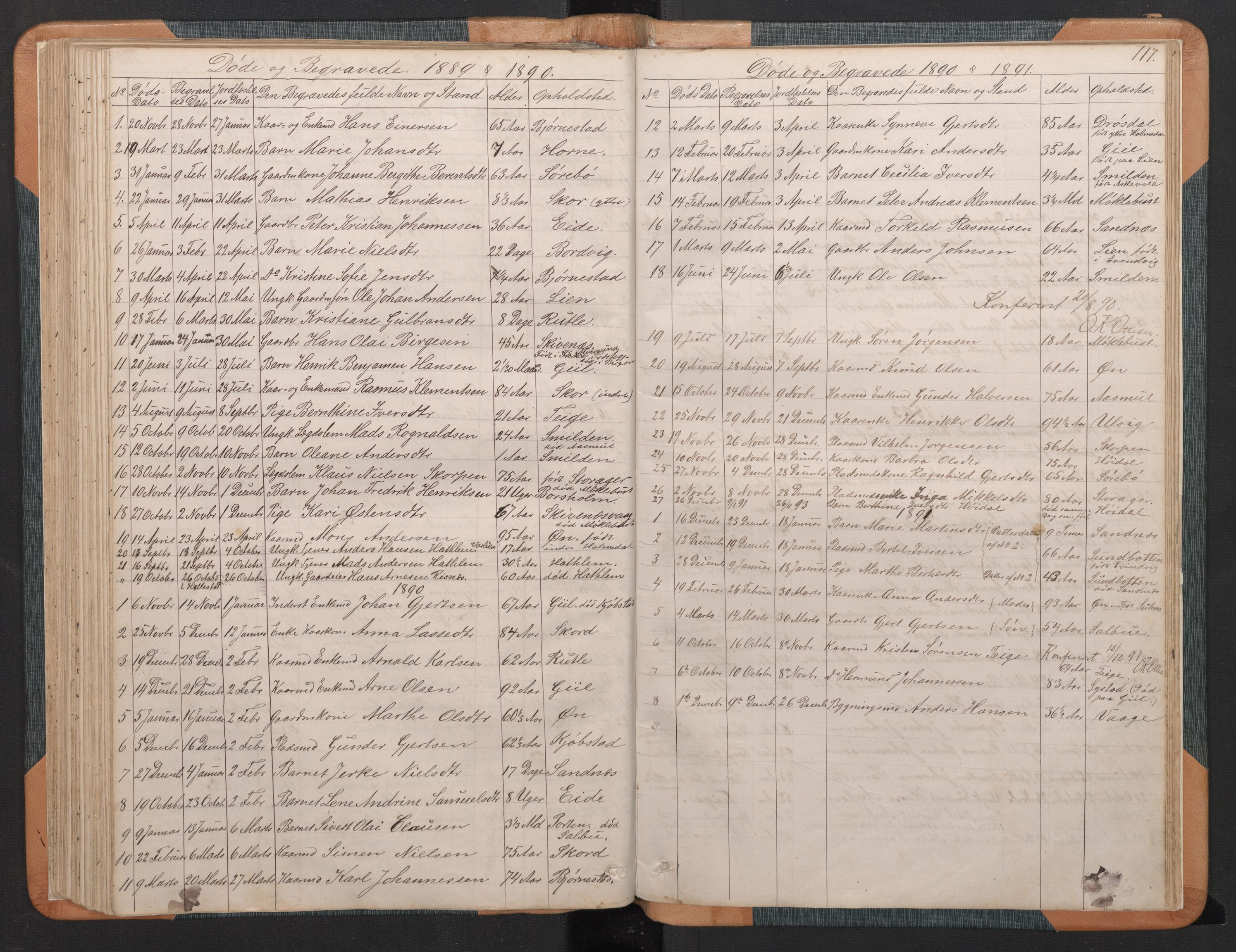 Hyllestad sokneprestembete, SAB/A-80401: Parish register (copy) no. C 2, 1874-1894, p. 116b-117a