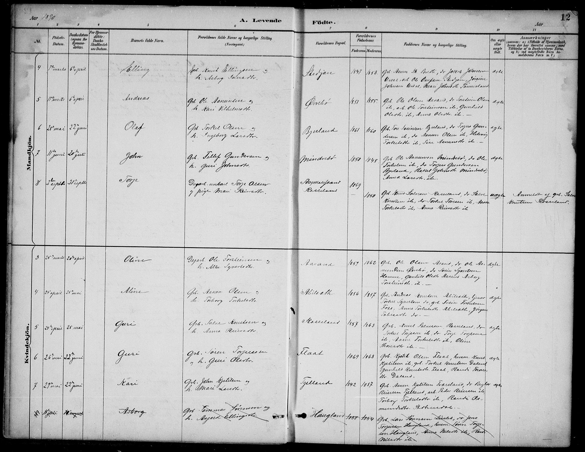 Bjelland sokneprestkontor, AV/SAK-1111-0005/F/Fb/Fba/L0005: Parish register (copy) no. B 5, 1887-1923, p. 12