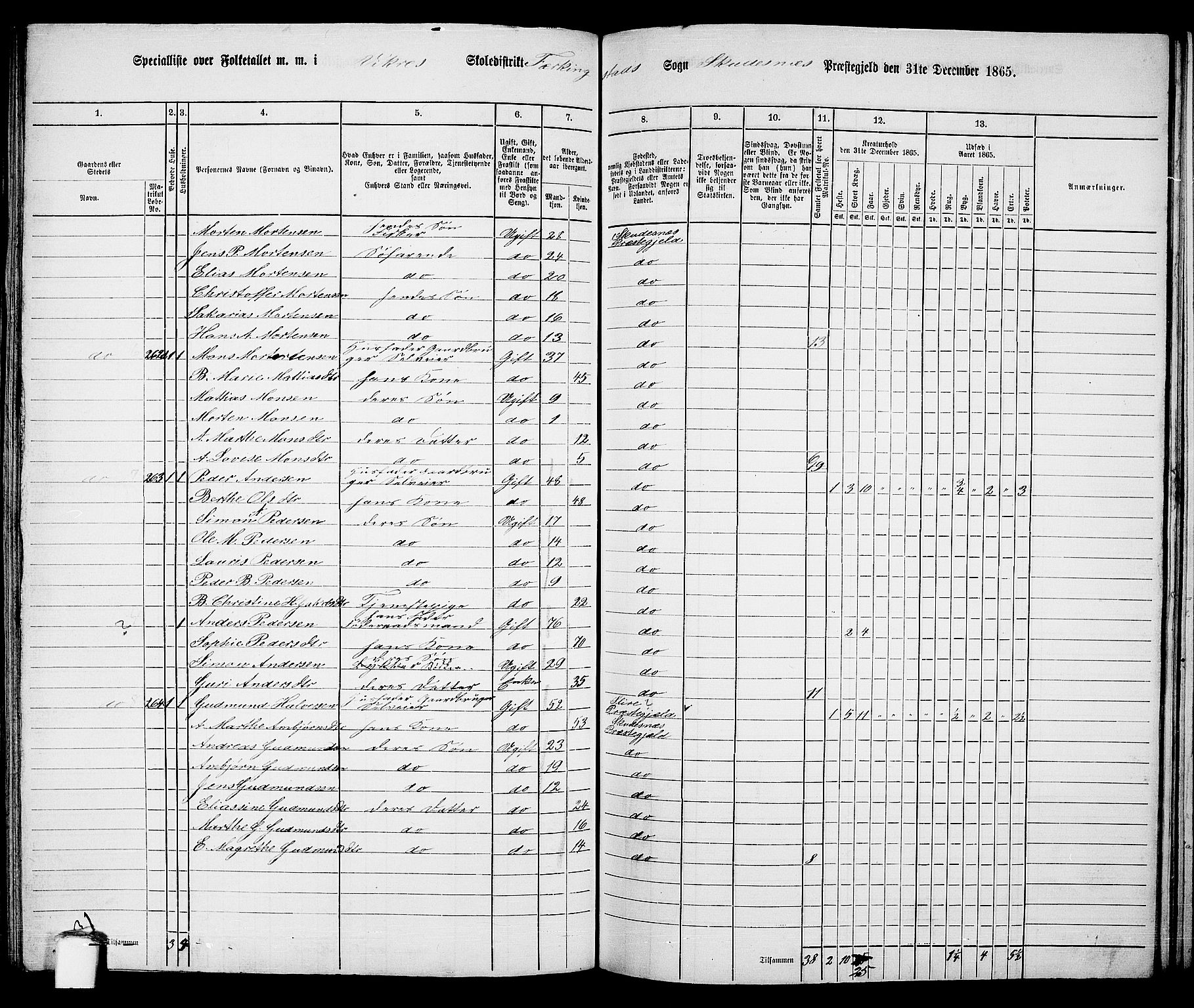 RA, 1865 census for Skudenes, 1865, p. 133