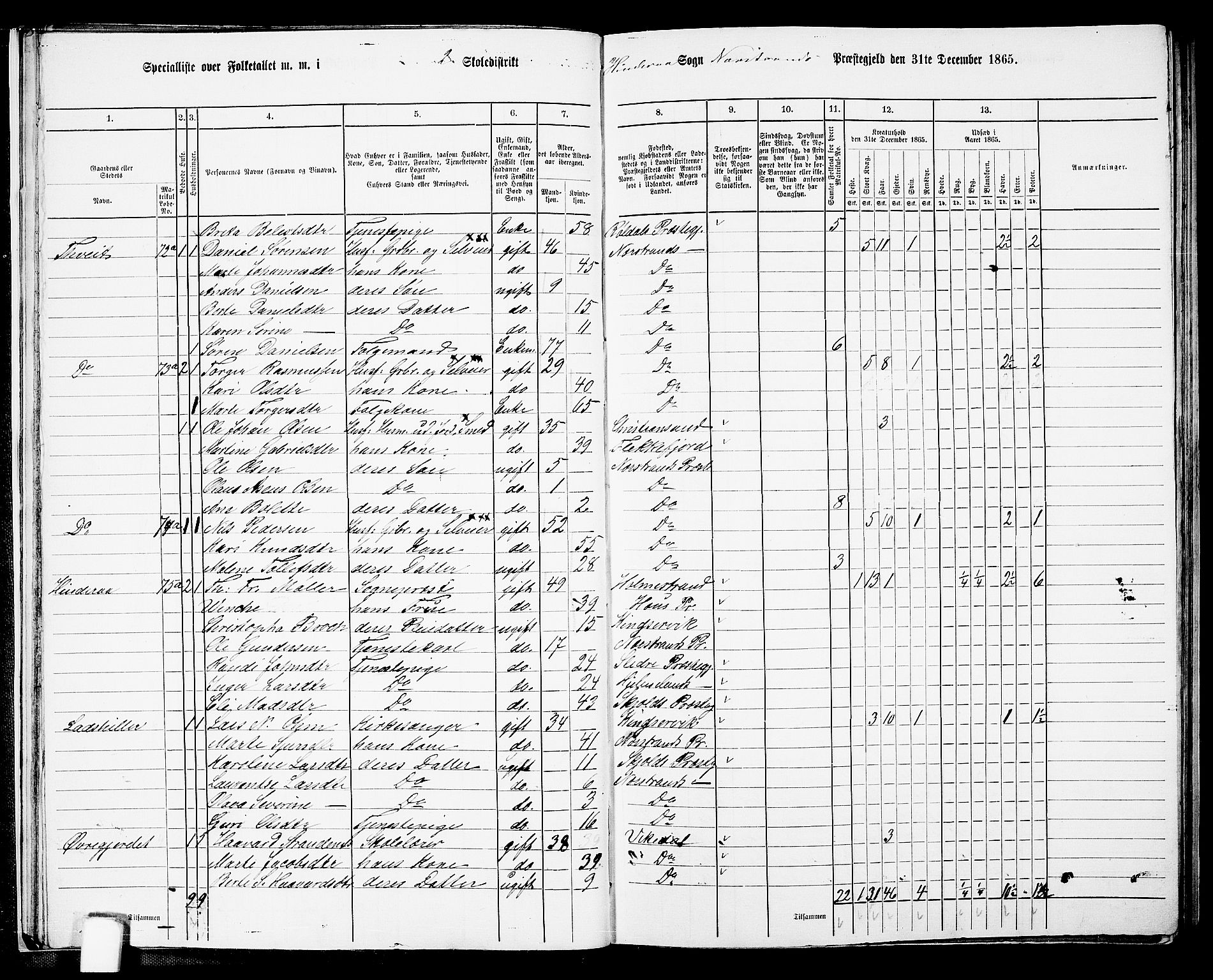 RA, 1865 census for Nedstrand, 1865, p. 28