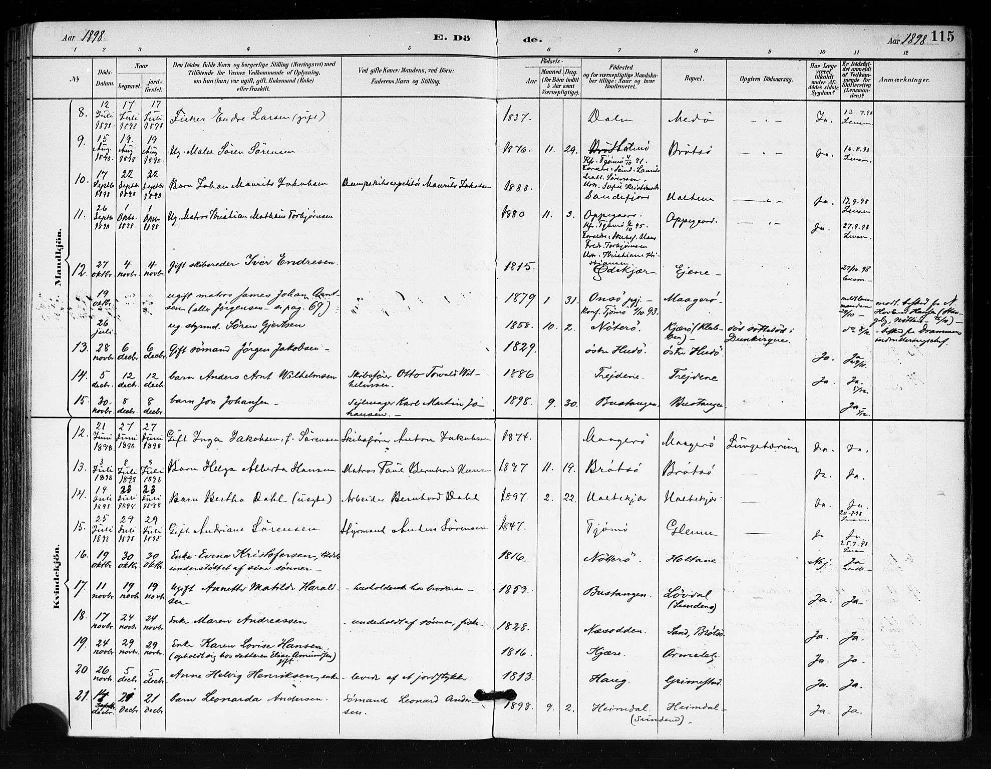 Tjøme kirkebøker, AV/SAKO-A-328/F/Fa/L0003: Parish register (official) no. I 3, 1891-1900, p. 115