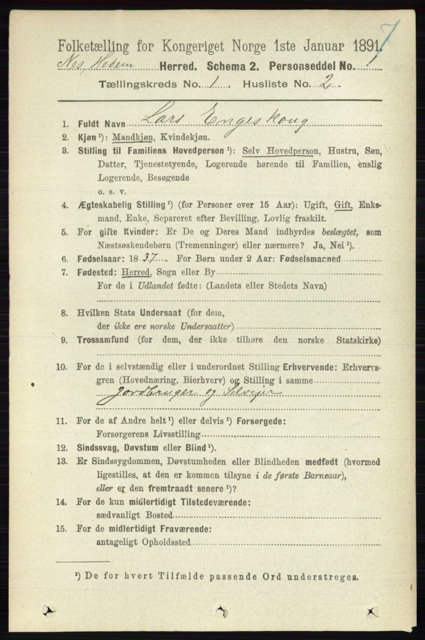 RA, 1891 census for 0411 Nes, 1891, p. 169