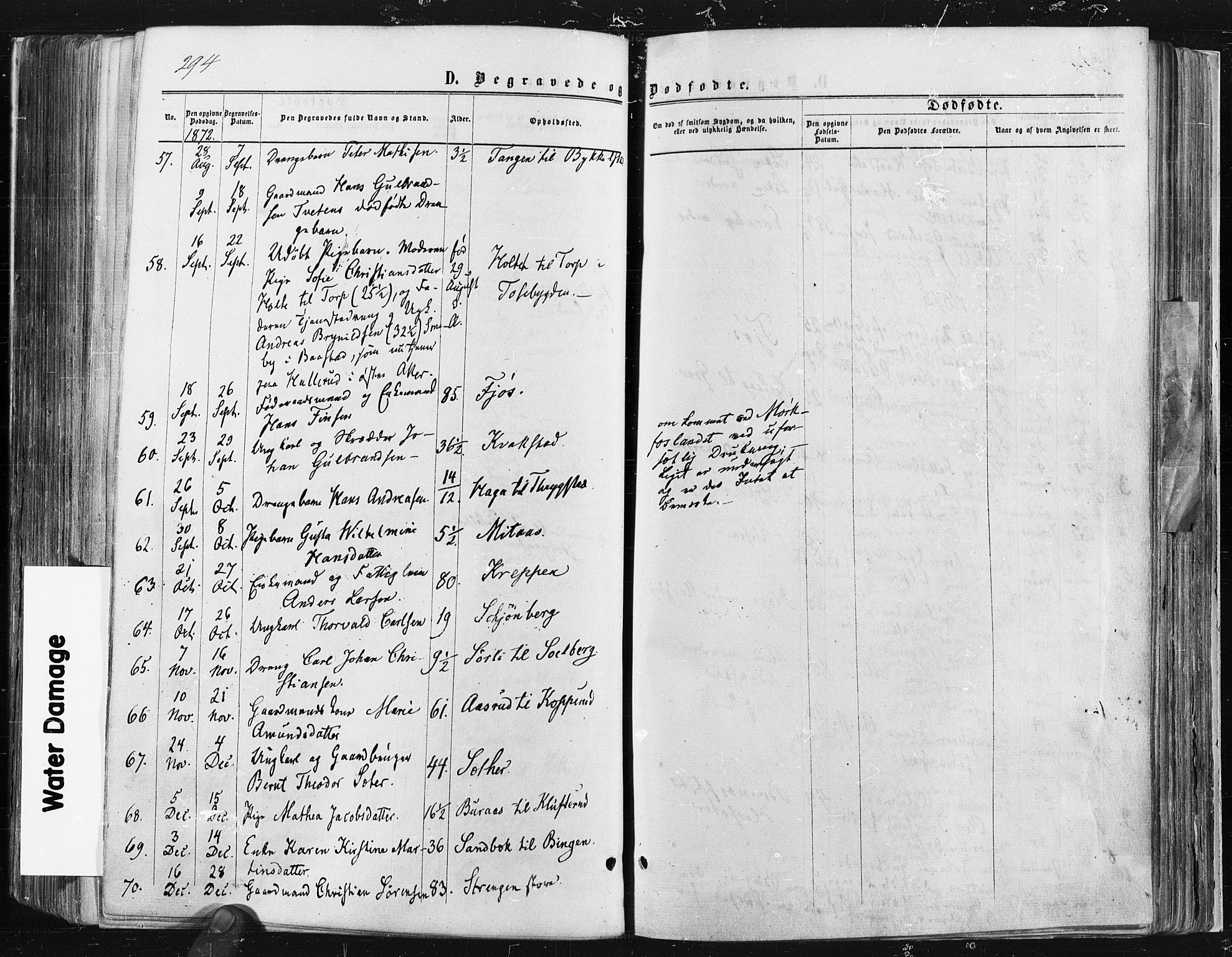 Trøgstad prestekontor Kirkebøker, AV/SAO-A-10925/F/Fa/L0009: Parish register (official) no. I 9, 1865-1877, p. 294
