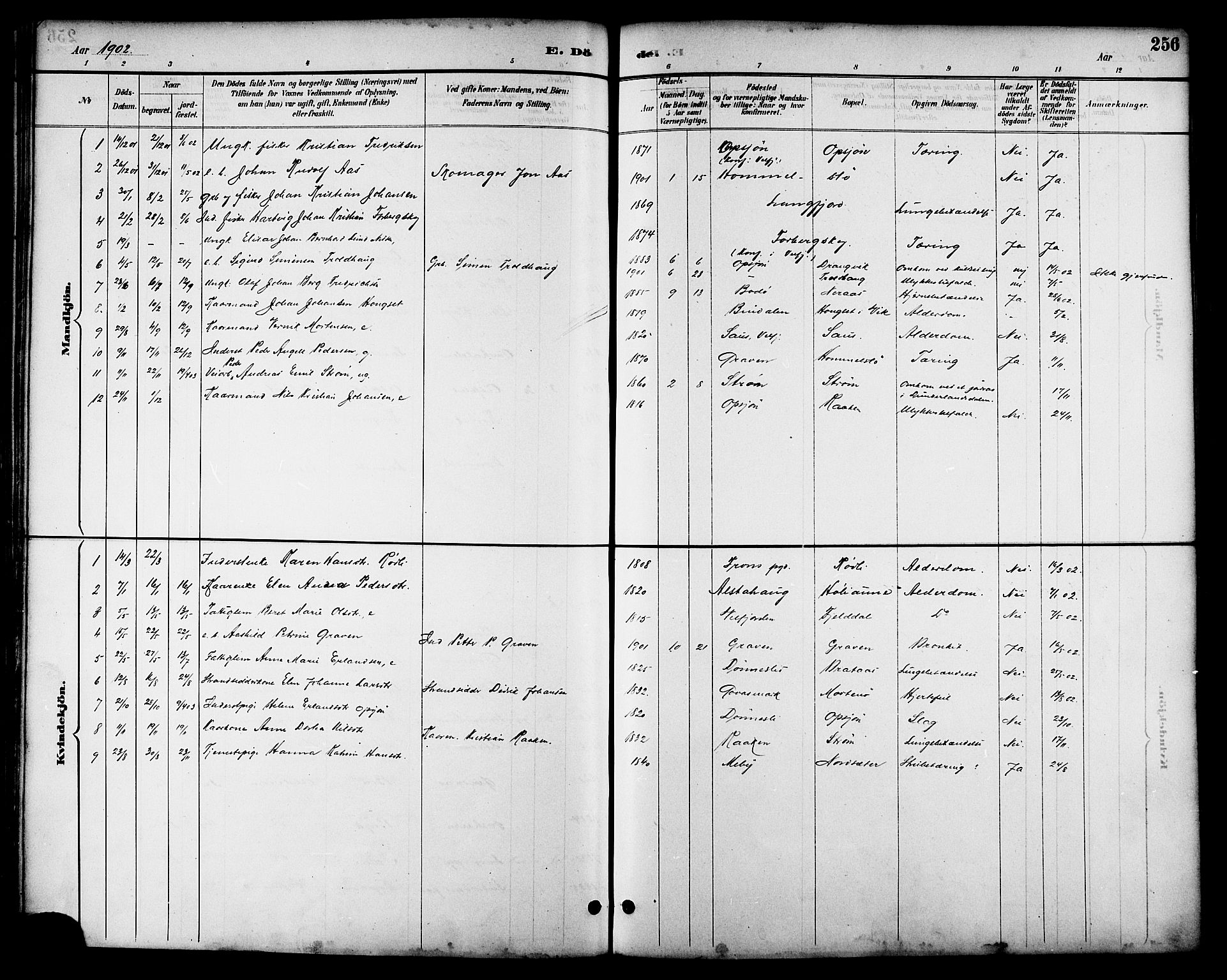 Ministerialprotokoller, klokkerbøker og fødselsregistre - Nordland, AV/SAT-A-1459/814/L0230: Parish register (copy) no. 814C03, 1884-1911, p. 256