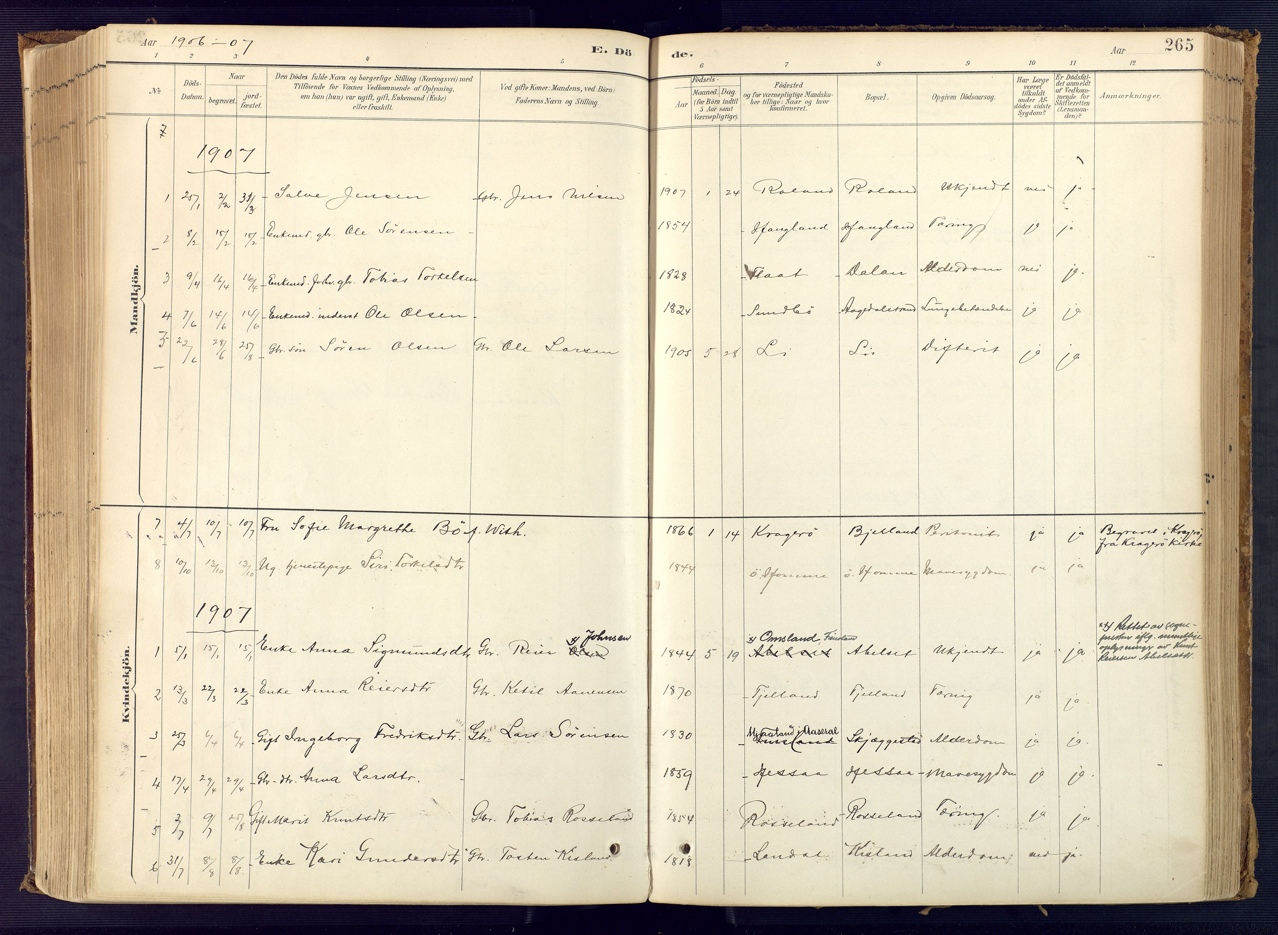 Bjelland sokneprestkontor, SAK/1111-0005/F/Fa/Faa/L0004: Parish register (official) no. A 4, 1887-1923, p. 265