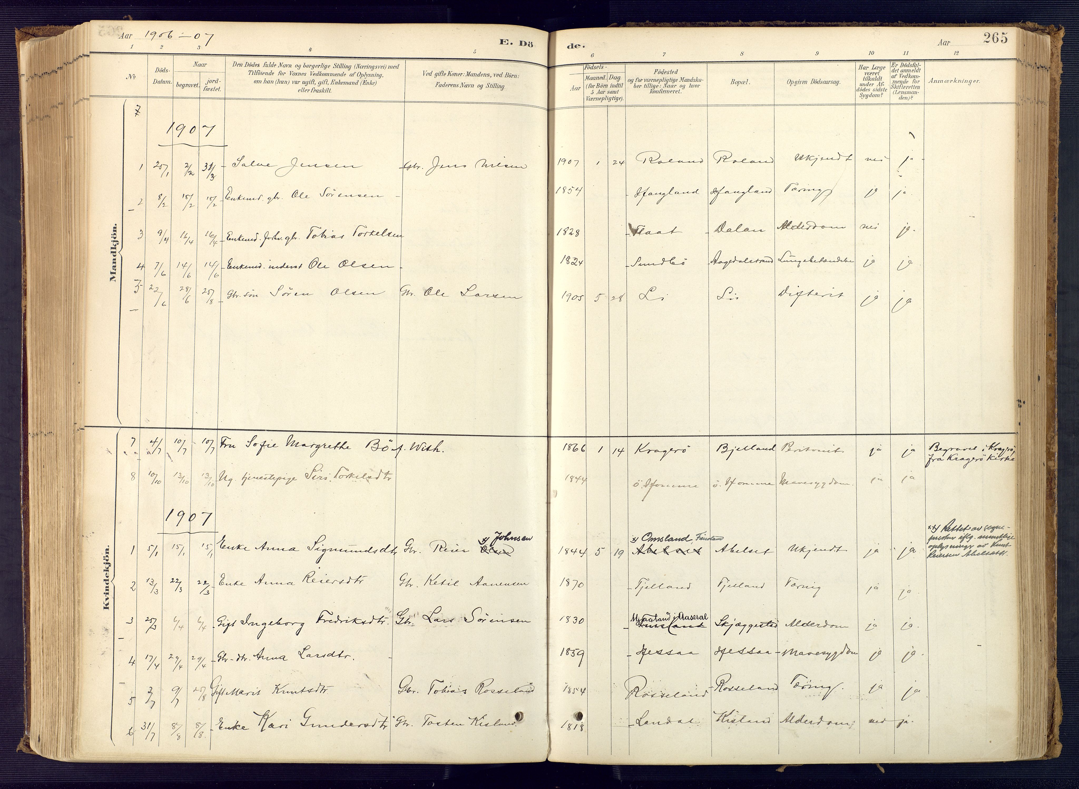 Bjelland sokneprestkontor, AV/SAK-1111-0005/F/Fa/Faa/L0004: Parish register (official) no. A 4, 1887-1923, p. 265