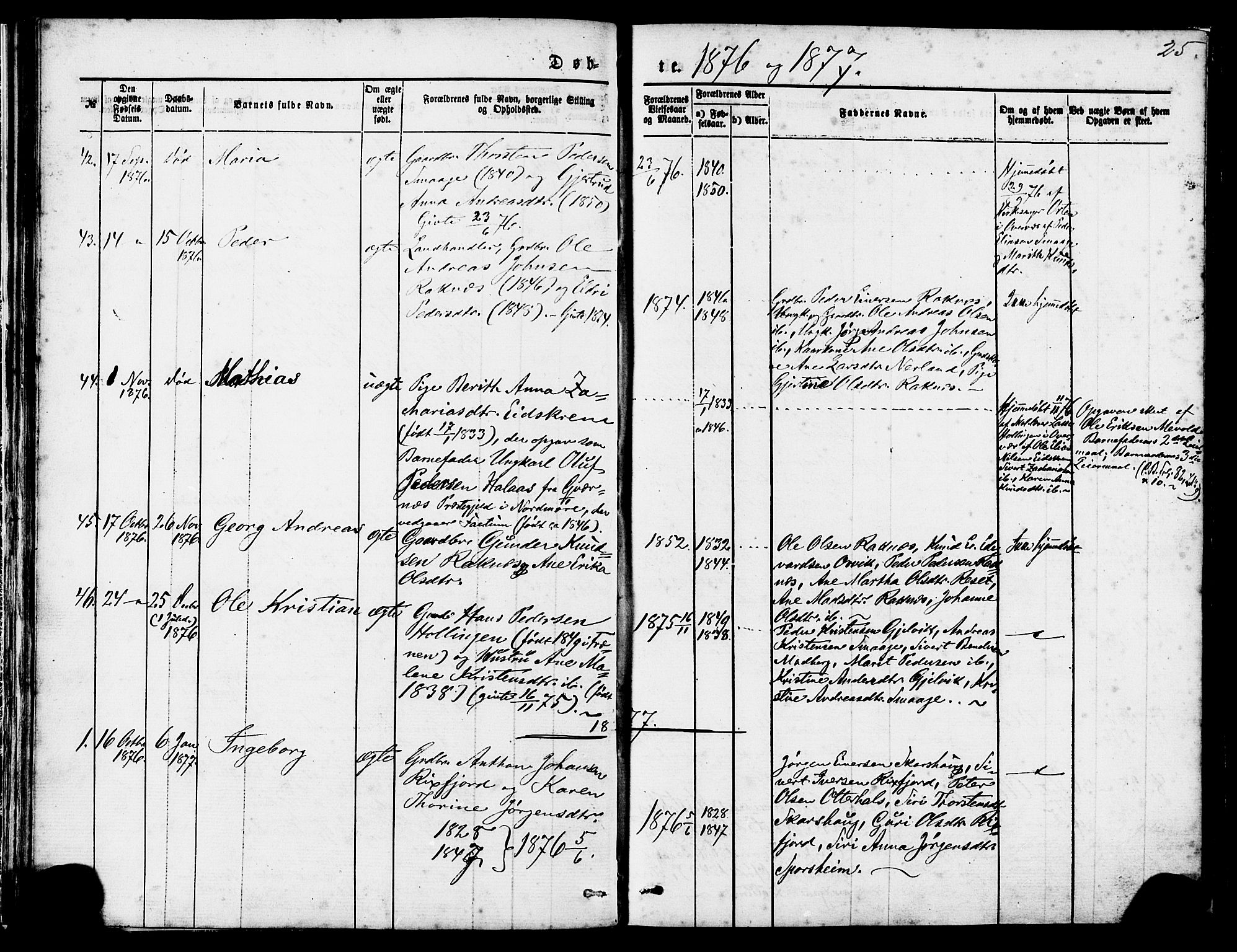 Ministerialprotokoller, klokkerbøker og fødselsregistre - Møre og Romsdal, AV/SAT-A-1454/560/L0720: Parish register (official) no. 560A04, 1873-1878, p. 25