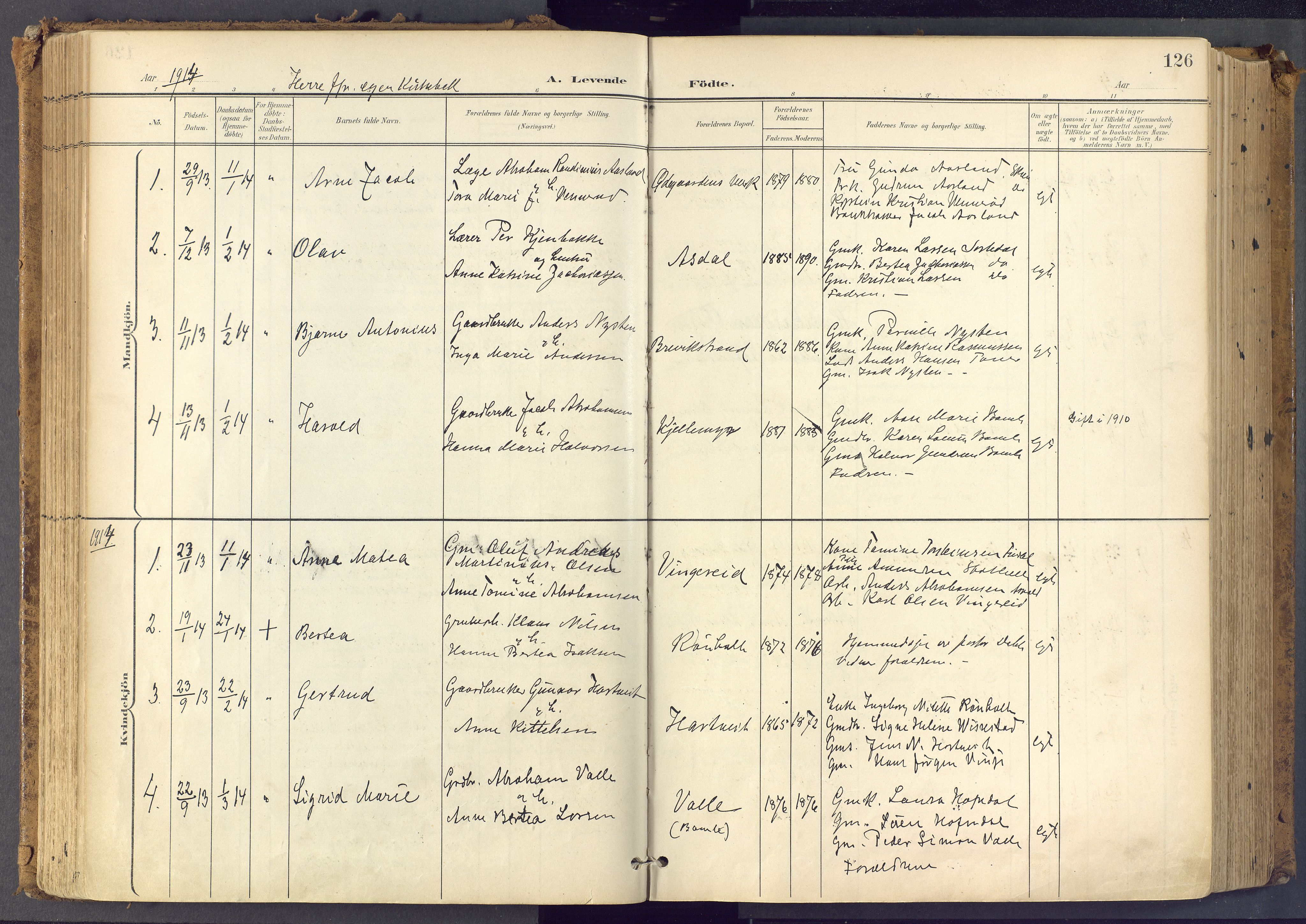 Bamble kirkebøker, SAKO/A-253/F/Fa/L0009: Parish register (official) no. I 9, 1901-1917, p. 126
