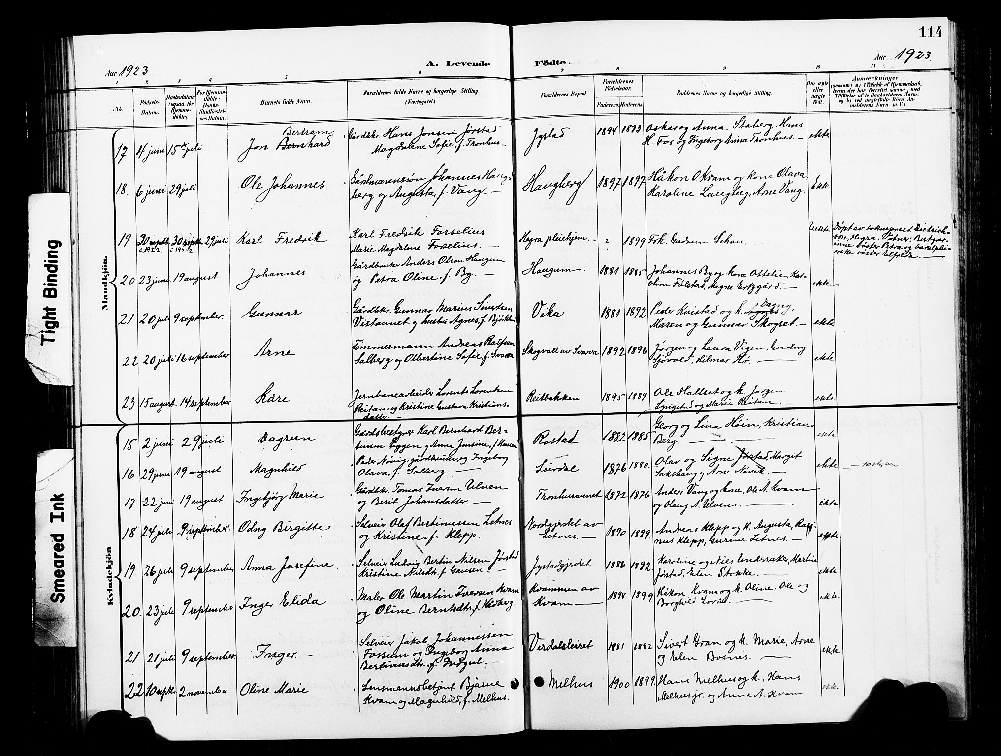 Ministerialprotokoller, klokkerbøker og fødselsregistre - Nord-Trøndelag, AV/SAT-A-1458/730/L0302: Parish register (copy) no. 730C05, 1898-1924, p. 114