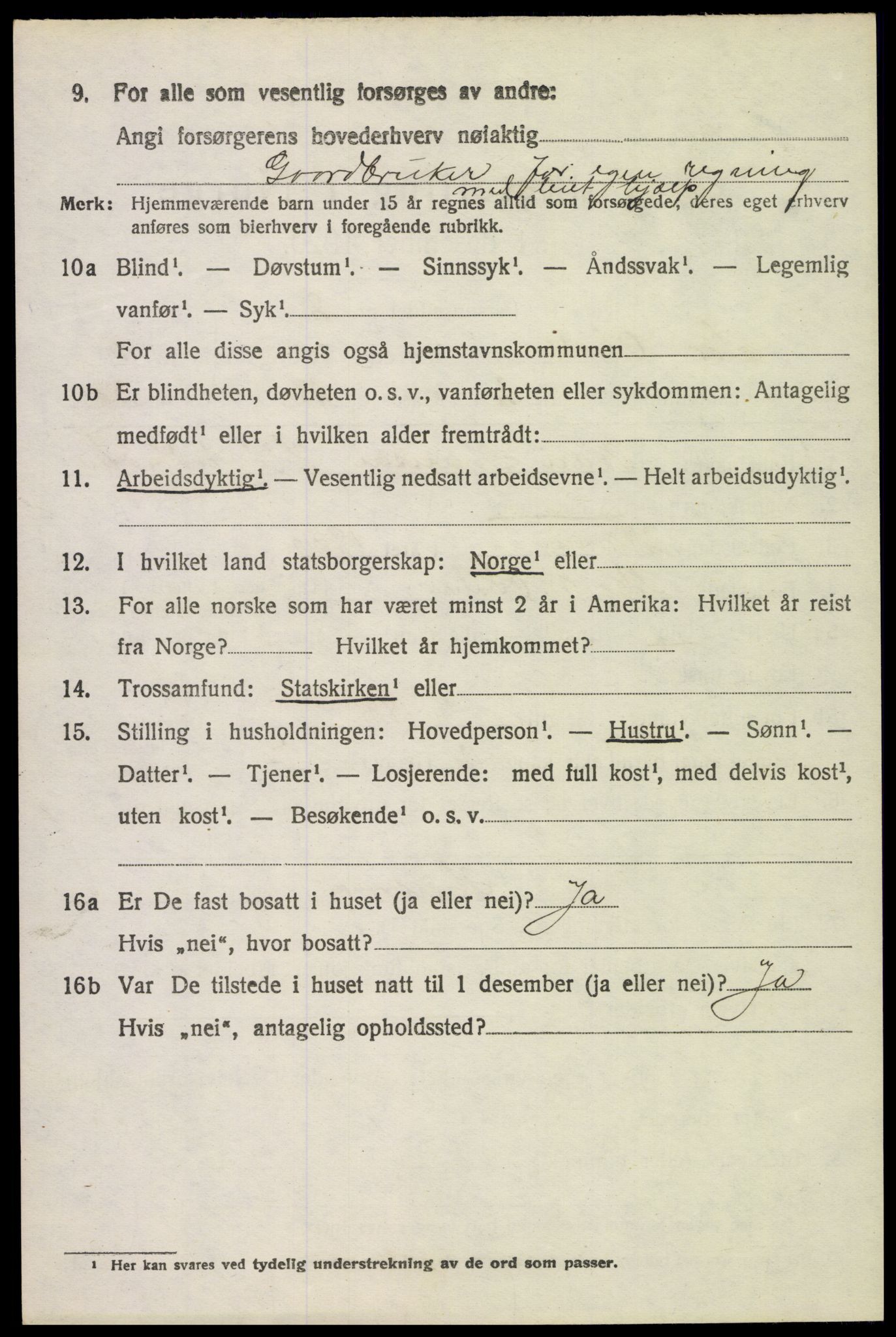 SAH, 1920 census for Sør-Odal, 1920, p. 6066