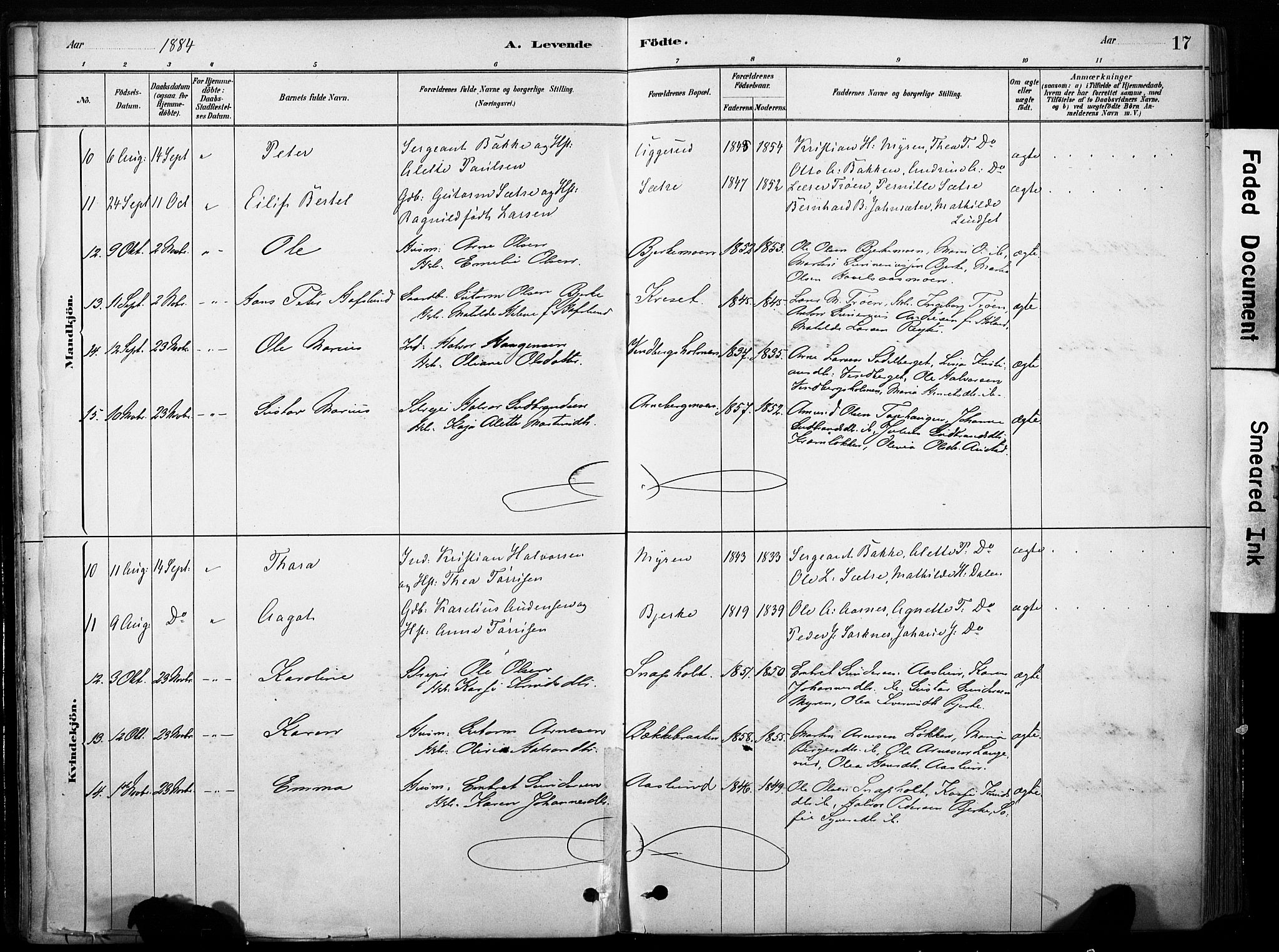 Hof prestekontor, AV/SAH-PREST-038/H/Ha/Haa/L0011: Parish register (official) no. 11, 1879-1911, p. 17