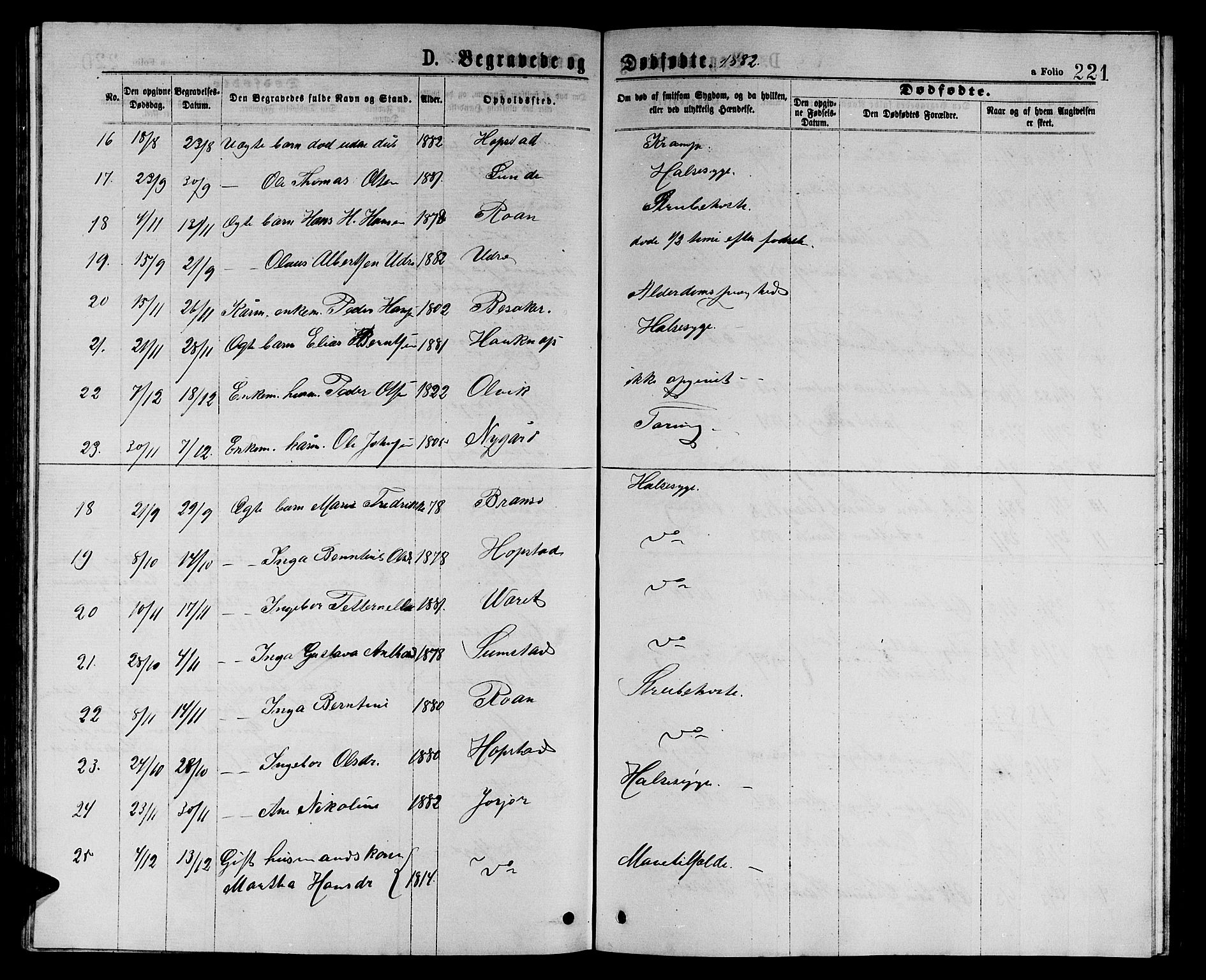 Ministerialprotokoller, klokkerbøker og fødselsregistre - Sør-Trøndelag, AV/SAT-A-1456/657/L0715: Parish register (copy) no. 657C02, 1873-1888, p. 221